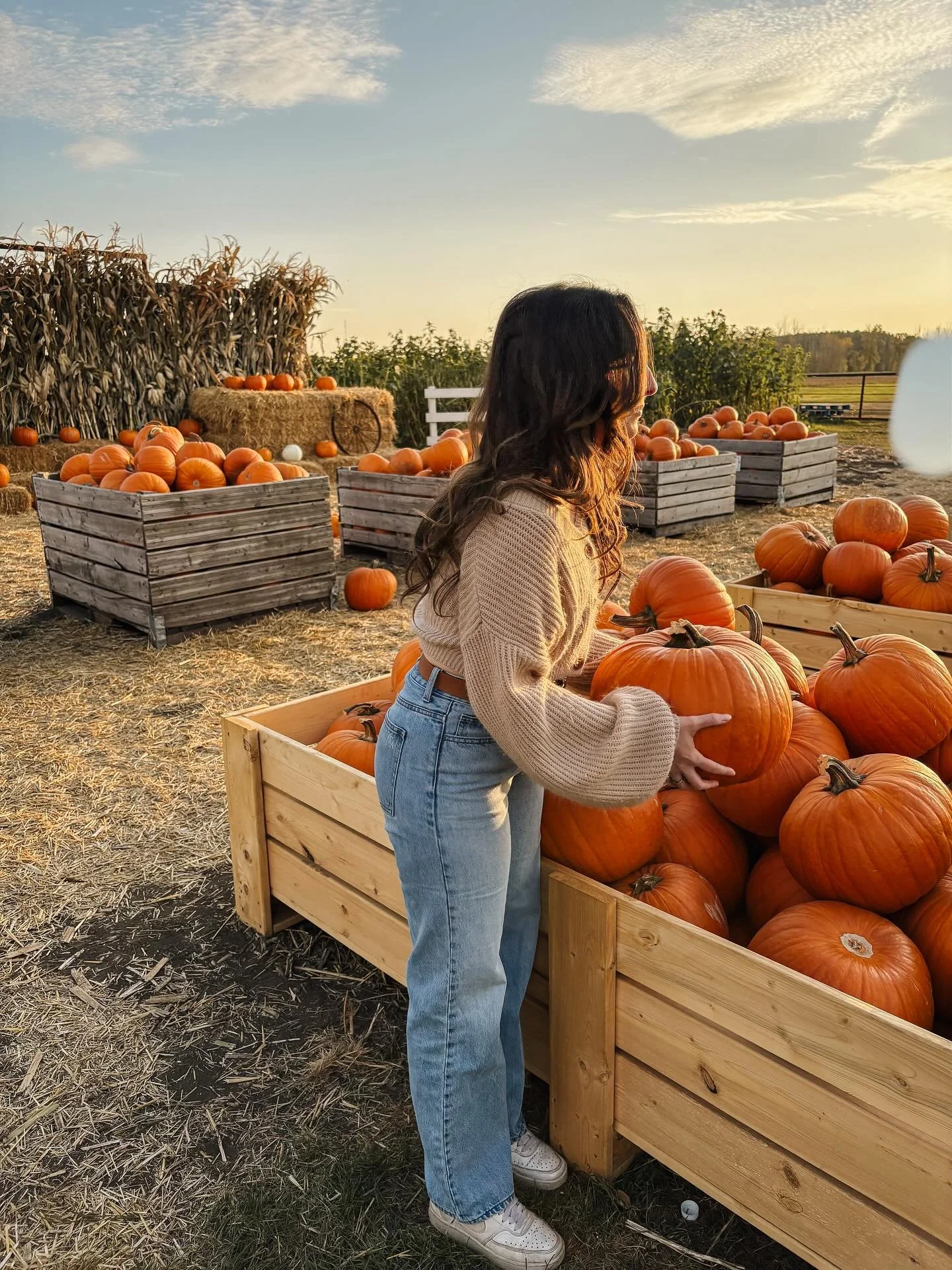 🍂 Sweet September, you were the light I needed.🍂

There&rsquo;s something about fall that always feels like a homecoming. The air softens, the leaves let go, and we&rsquo;re invited to do the same.

This year so far has been tough to say the least 