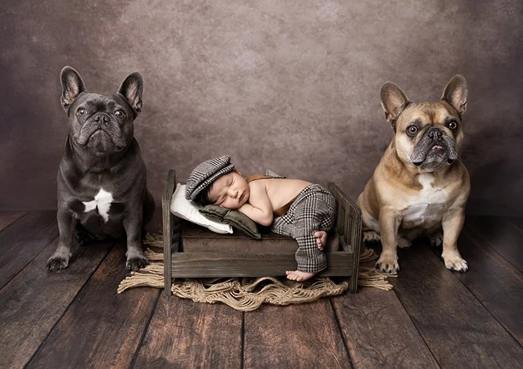 Los-Angeles-Neweborn-Studio-Photographer_ (10).jpg