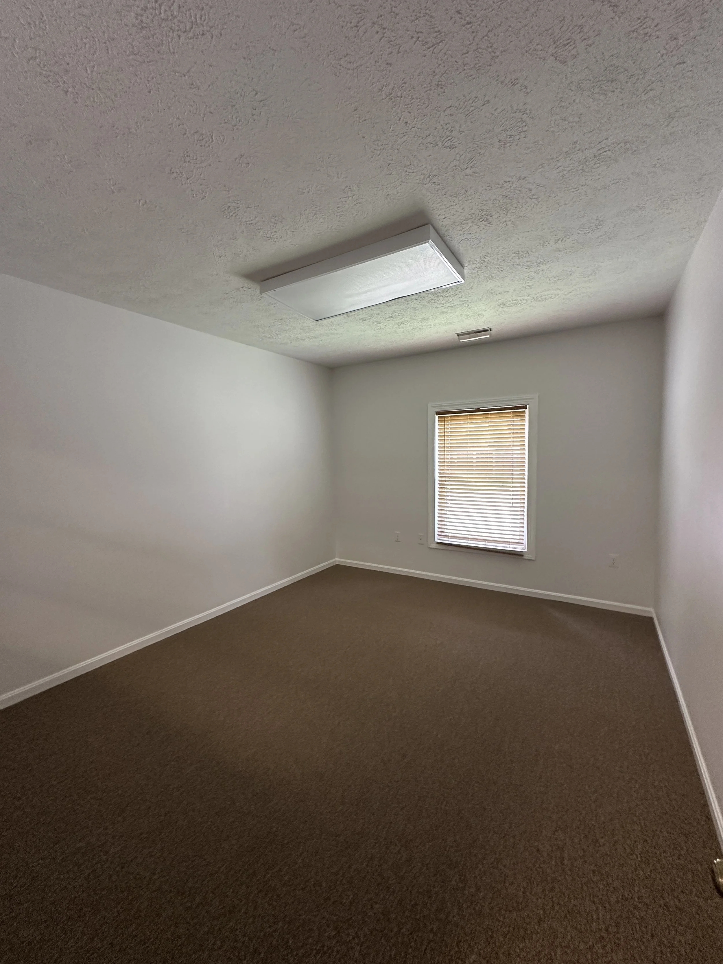 Empty room with white walls, brown carpet, a window with blinds, and a ceiling light fixture.