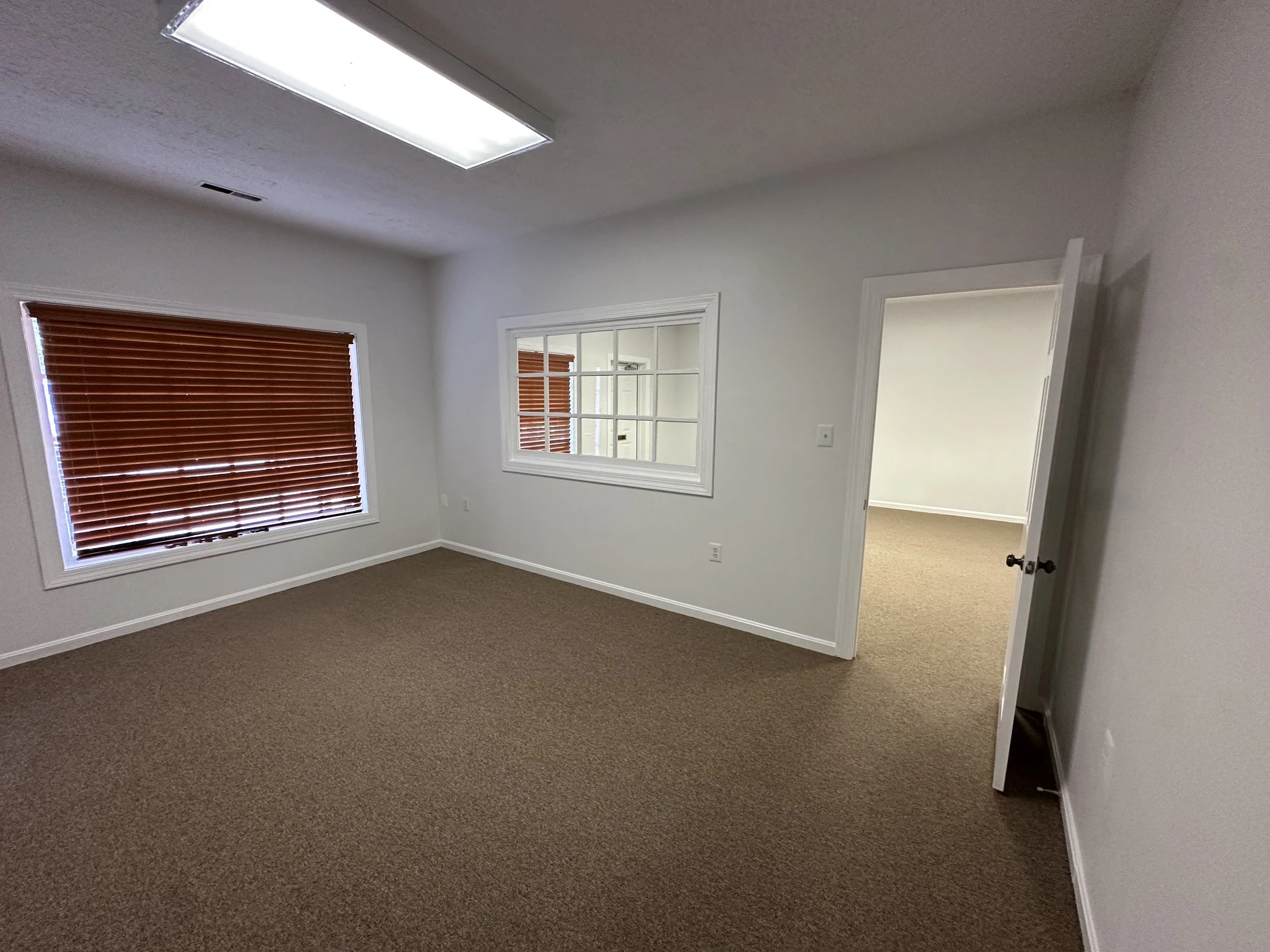 Empty room with beige carpet, white walls, a window with brown blinds, a rectangular ceiling light, and an open door leading to another room.