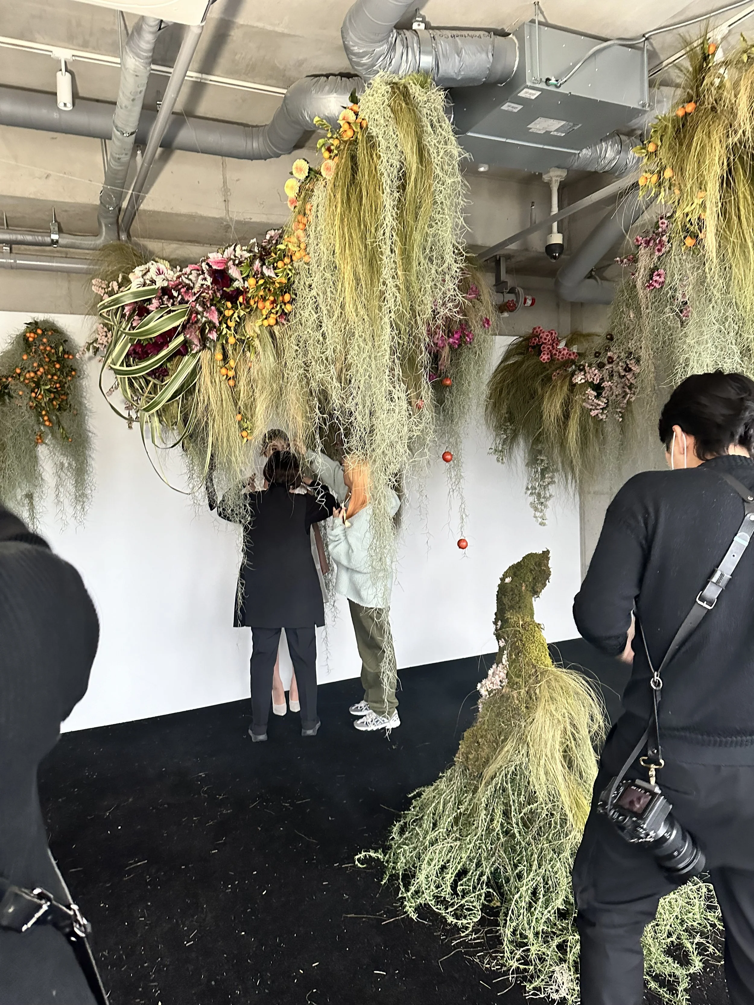 Josh_Samples_Installation_1