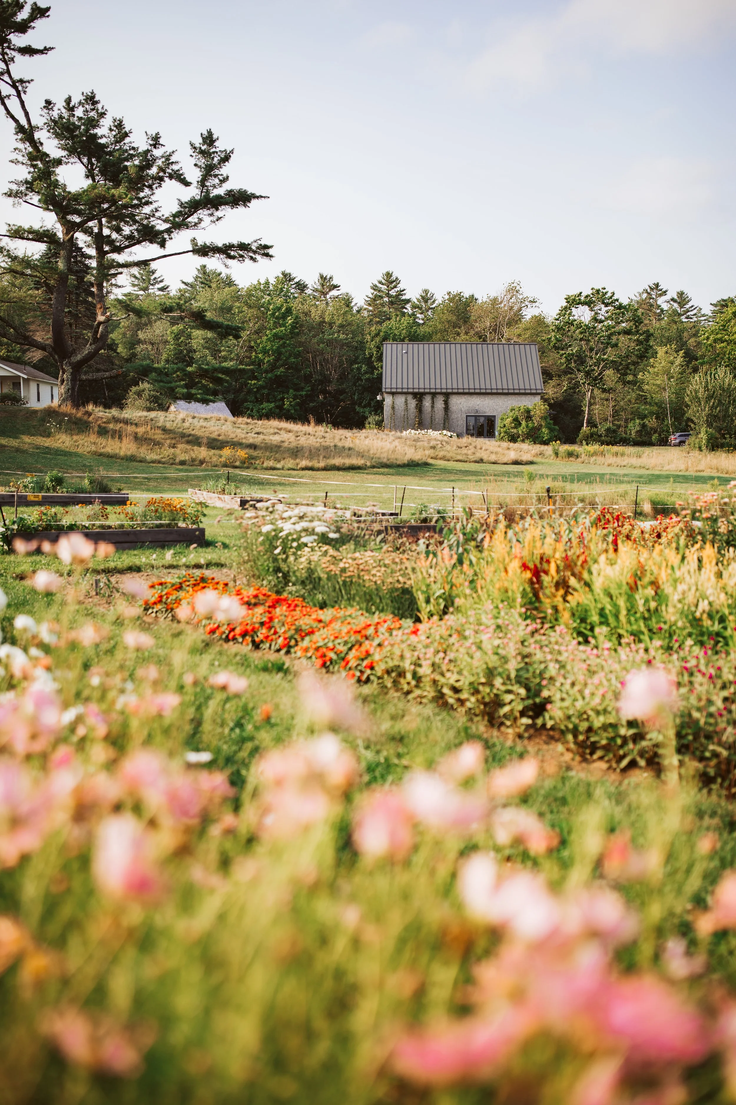 Wanderwood Barn_Photo by Katie Arnold Photography.JPEG