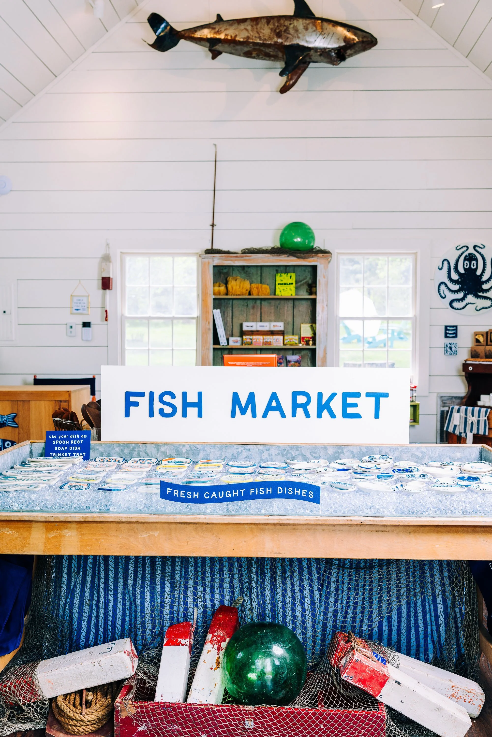 FishHaus-SearchingShadows-2026-14.jpg