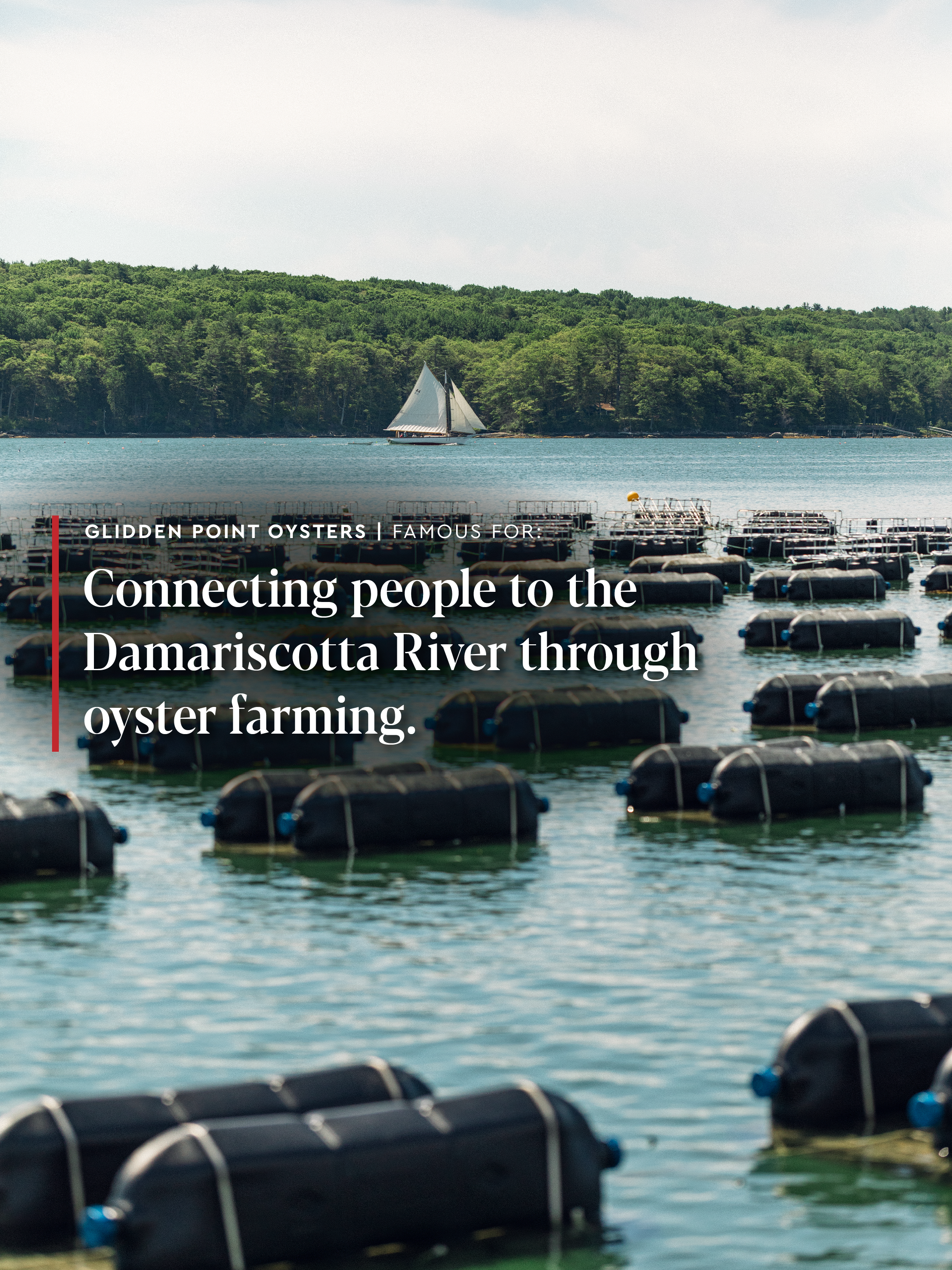 glidden-point-oysters-13.PNG