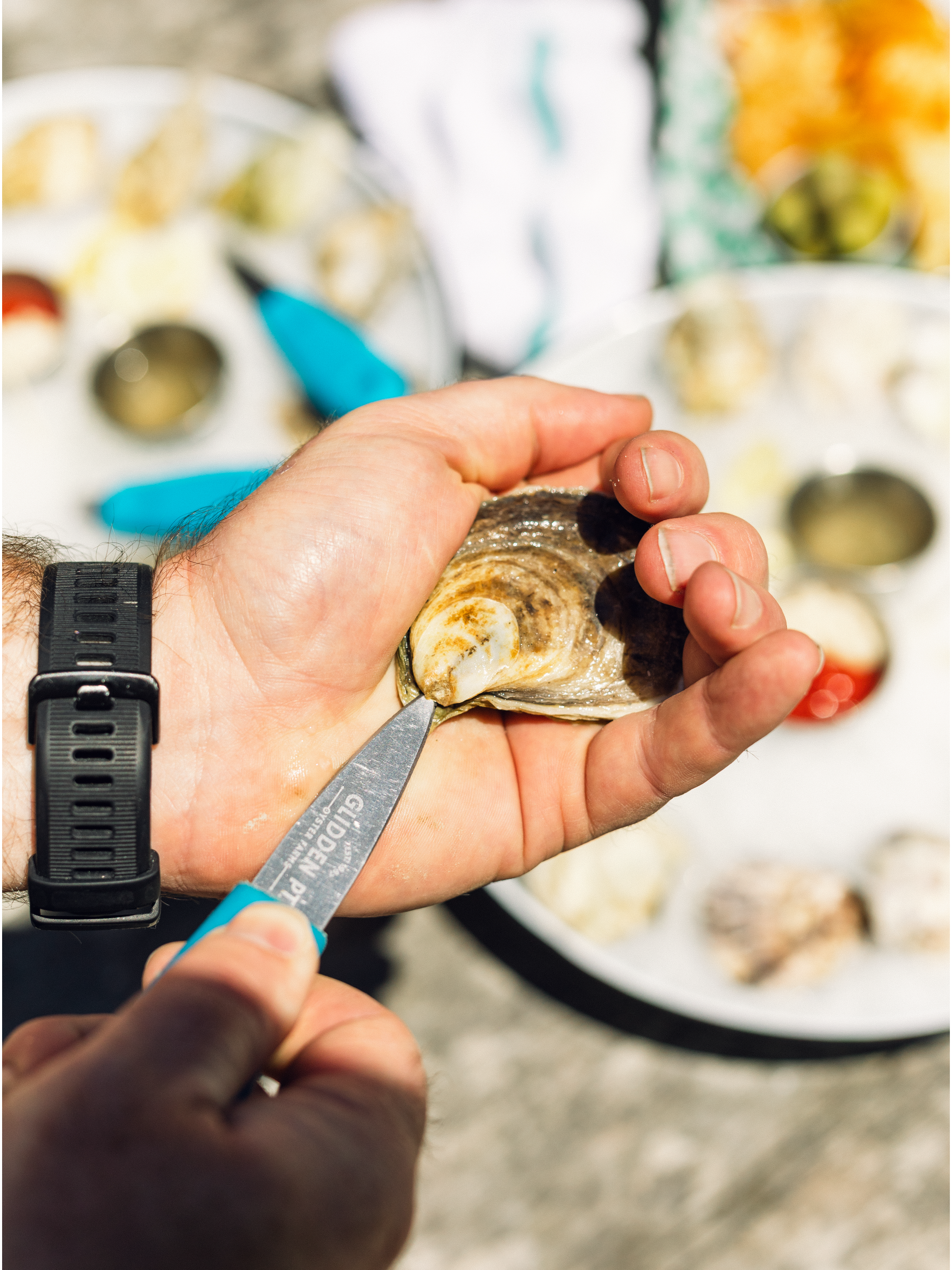 glidden-point-oysters-08.PNG