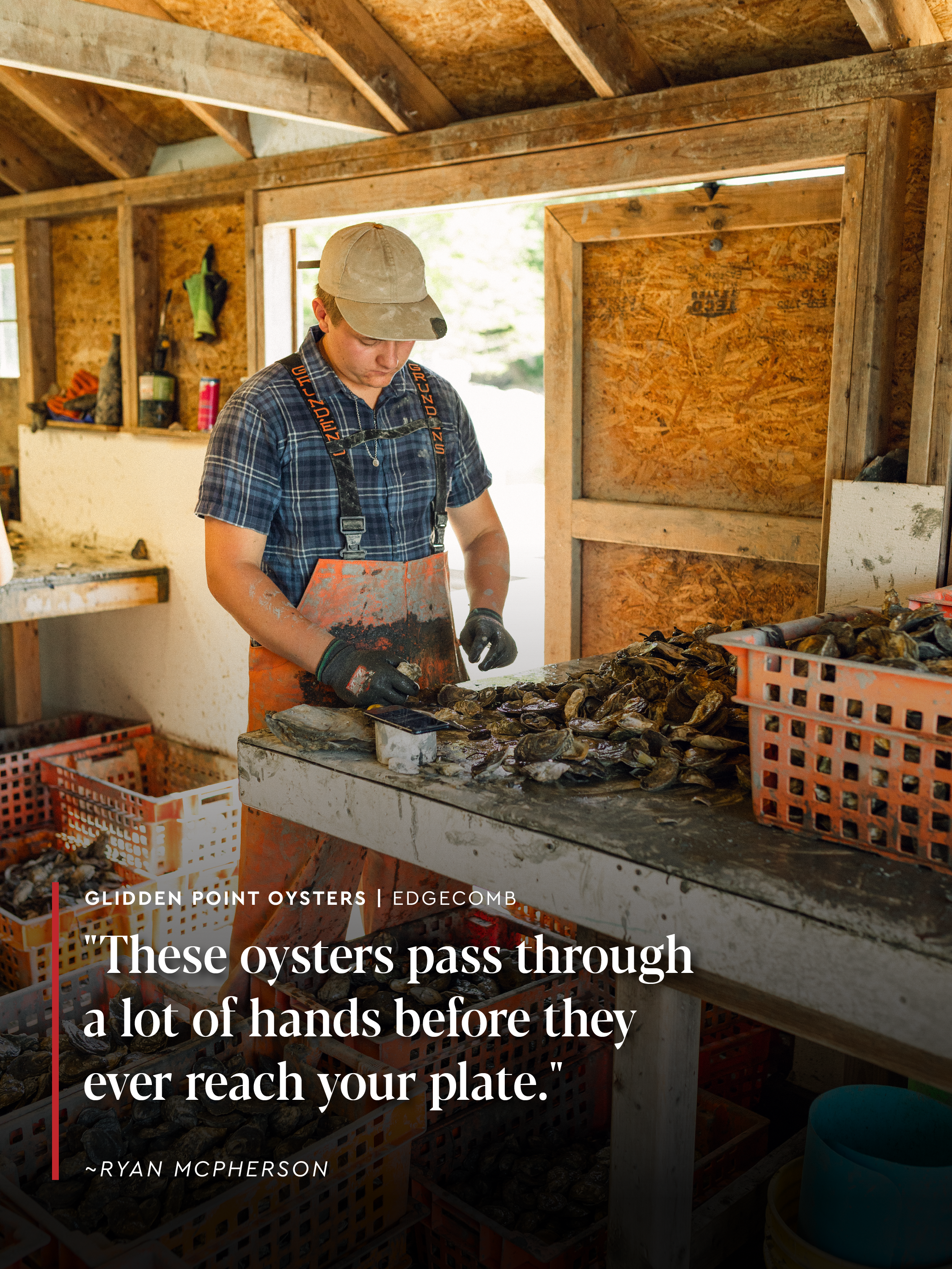 glidden-point-oysters-05.PNG