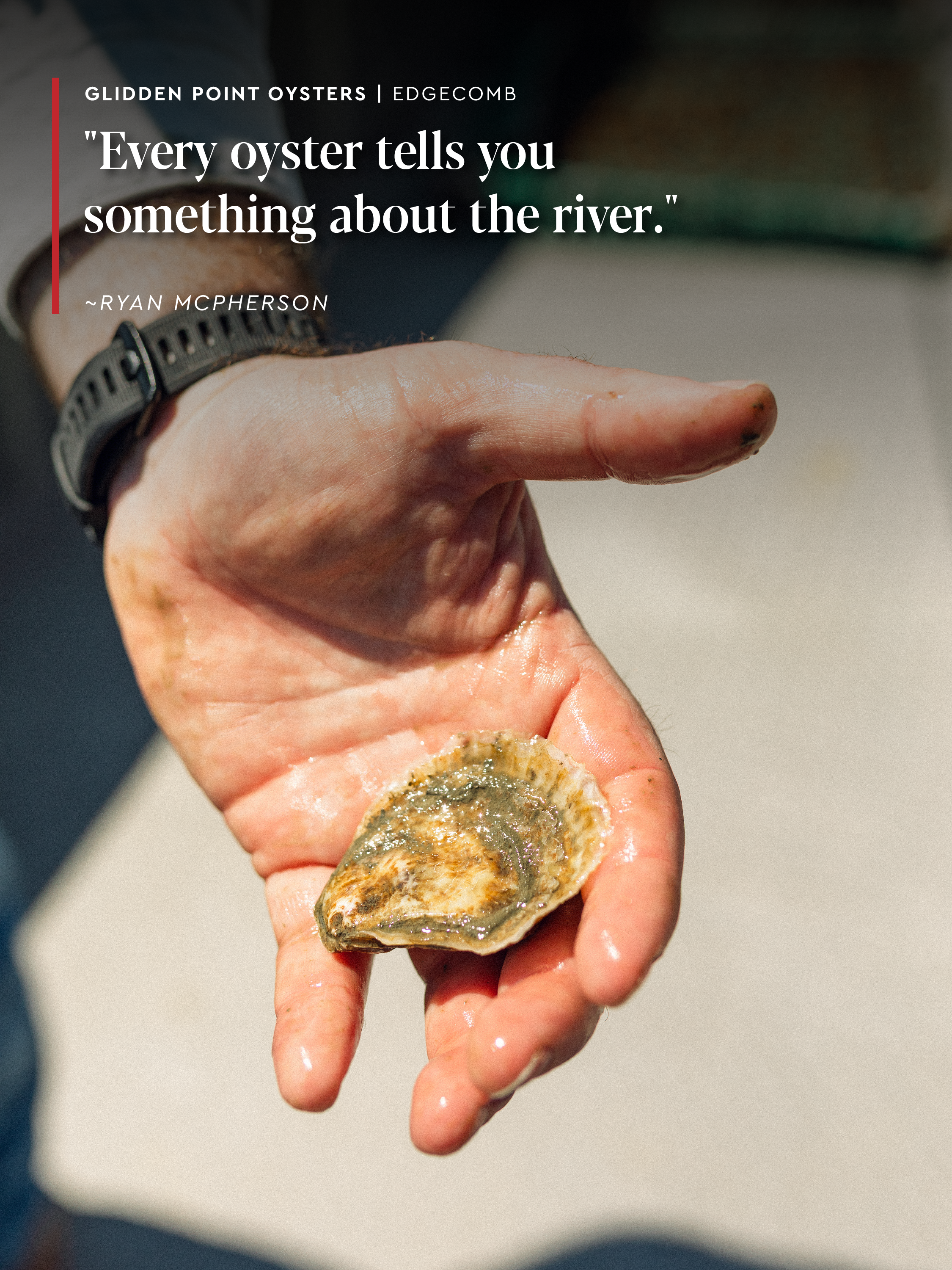 glidden-point-oysters-04.PNG