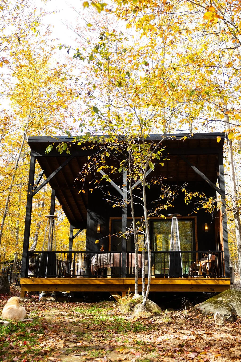 8T3A9038.jpg