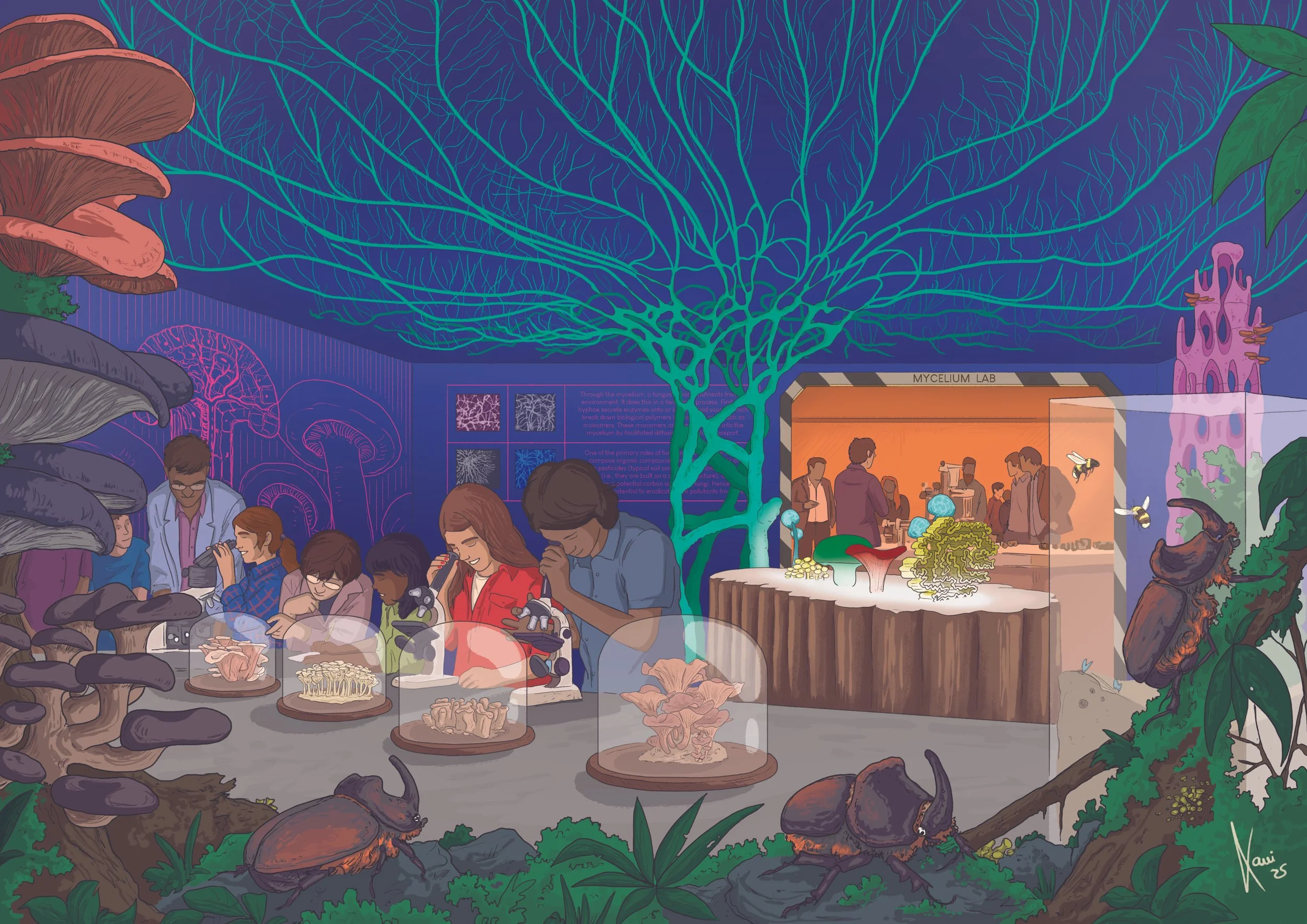 Illustration of a mushroom research lab surrounded by large mushrooms, insects, and a lush forest environment. People are observing and studying mushrooms through microscopes and displays.