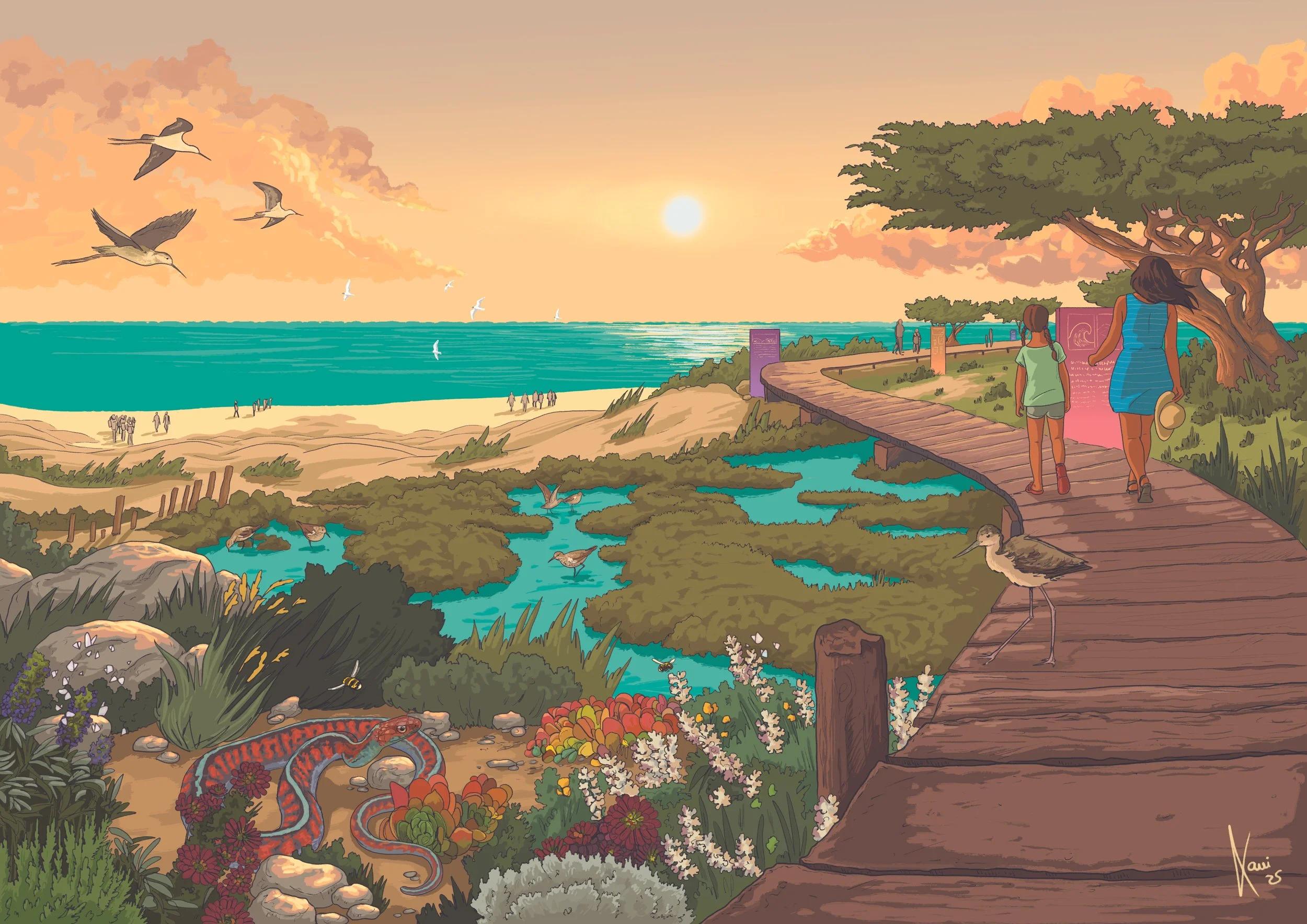 A scenic sunset at the beach with birds flying over the water, a wooden walkway leading to the beach, two women walking, a heron on the walkway, and various wildlife including a snake, birds, and a lizard near the water and plants.