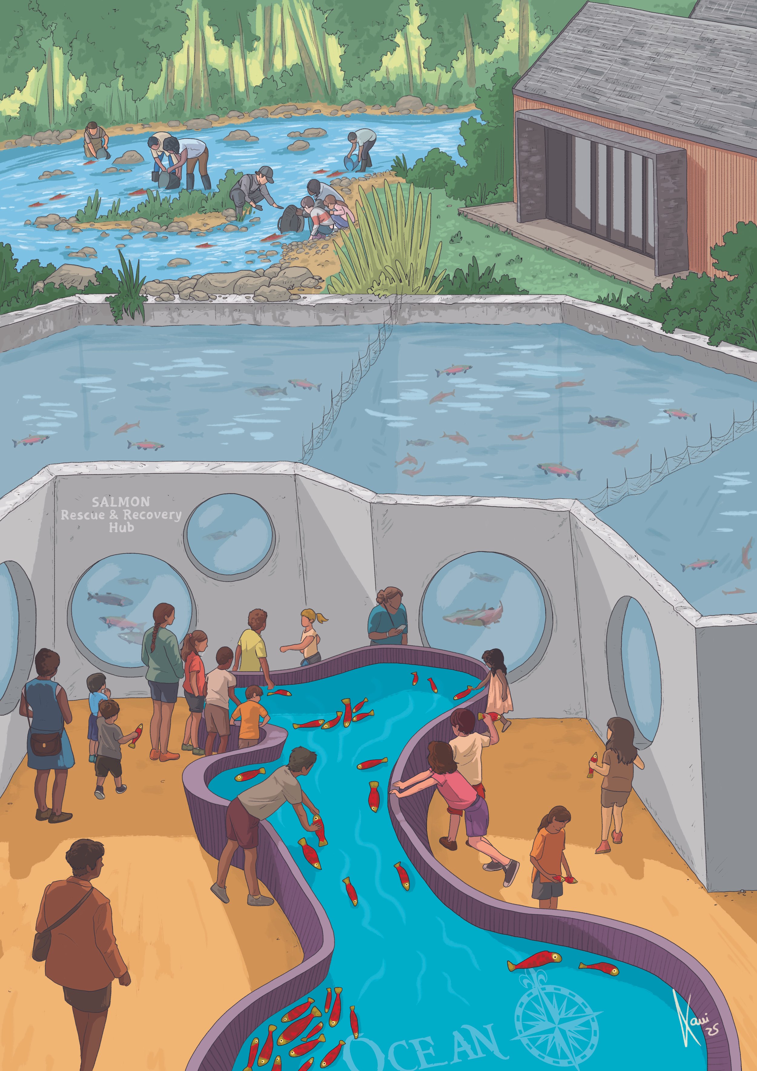 People watching and feeding fish in an indoor and outdoor salmon rescue and recovery facility with tanks and a river.