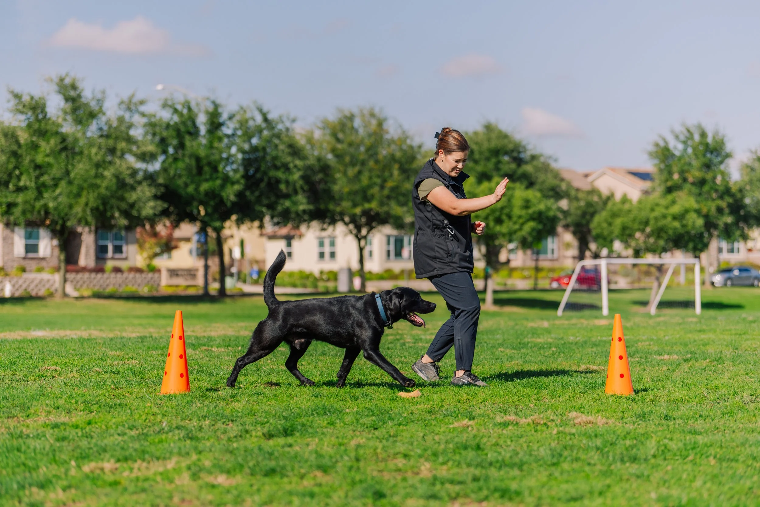 What &amp; Why: Canine&nbsp;Fitness