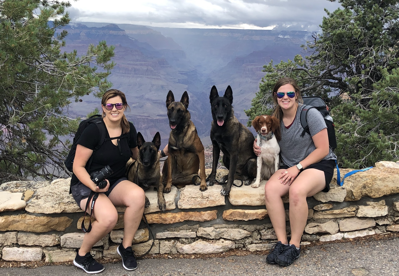 Two women with three dogs, sitting on a stone wall with the Grand Canyon in the background during daytime.