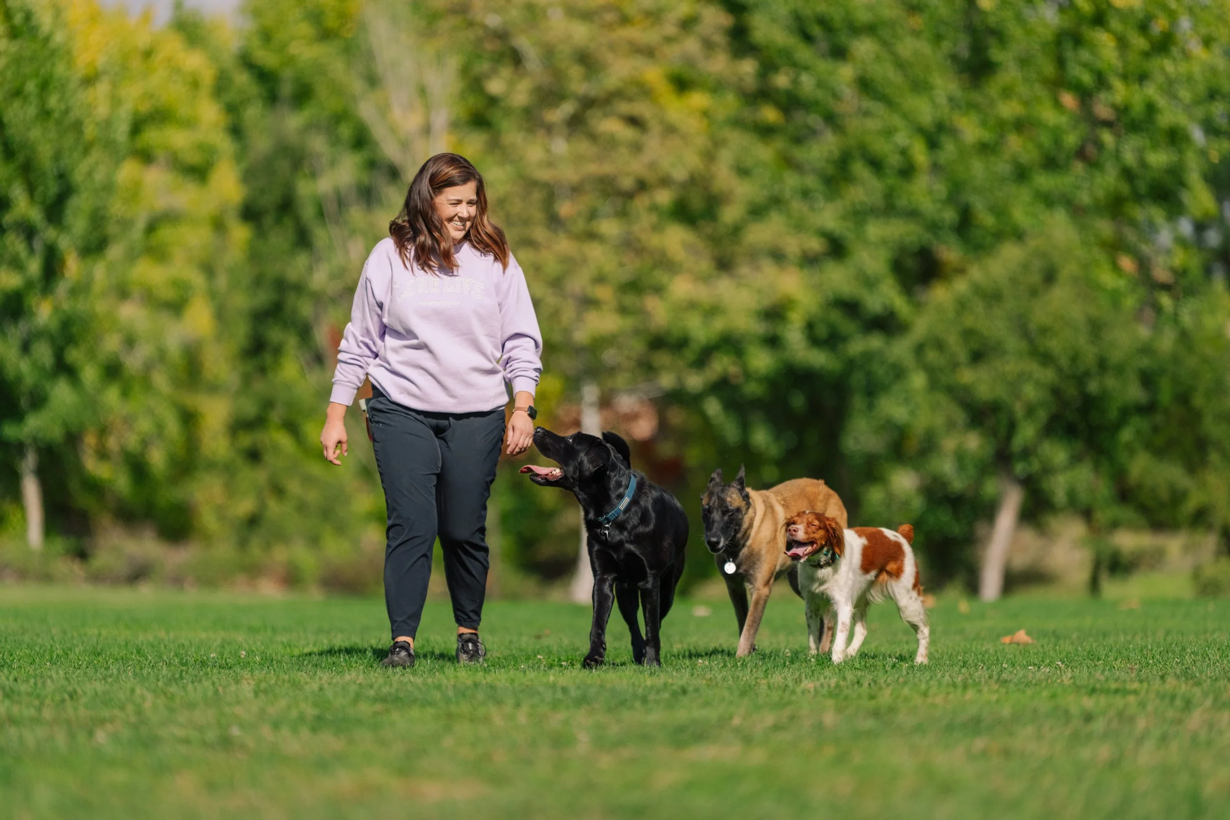 A woman walking with four dogs in a park with green trees in the background.