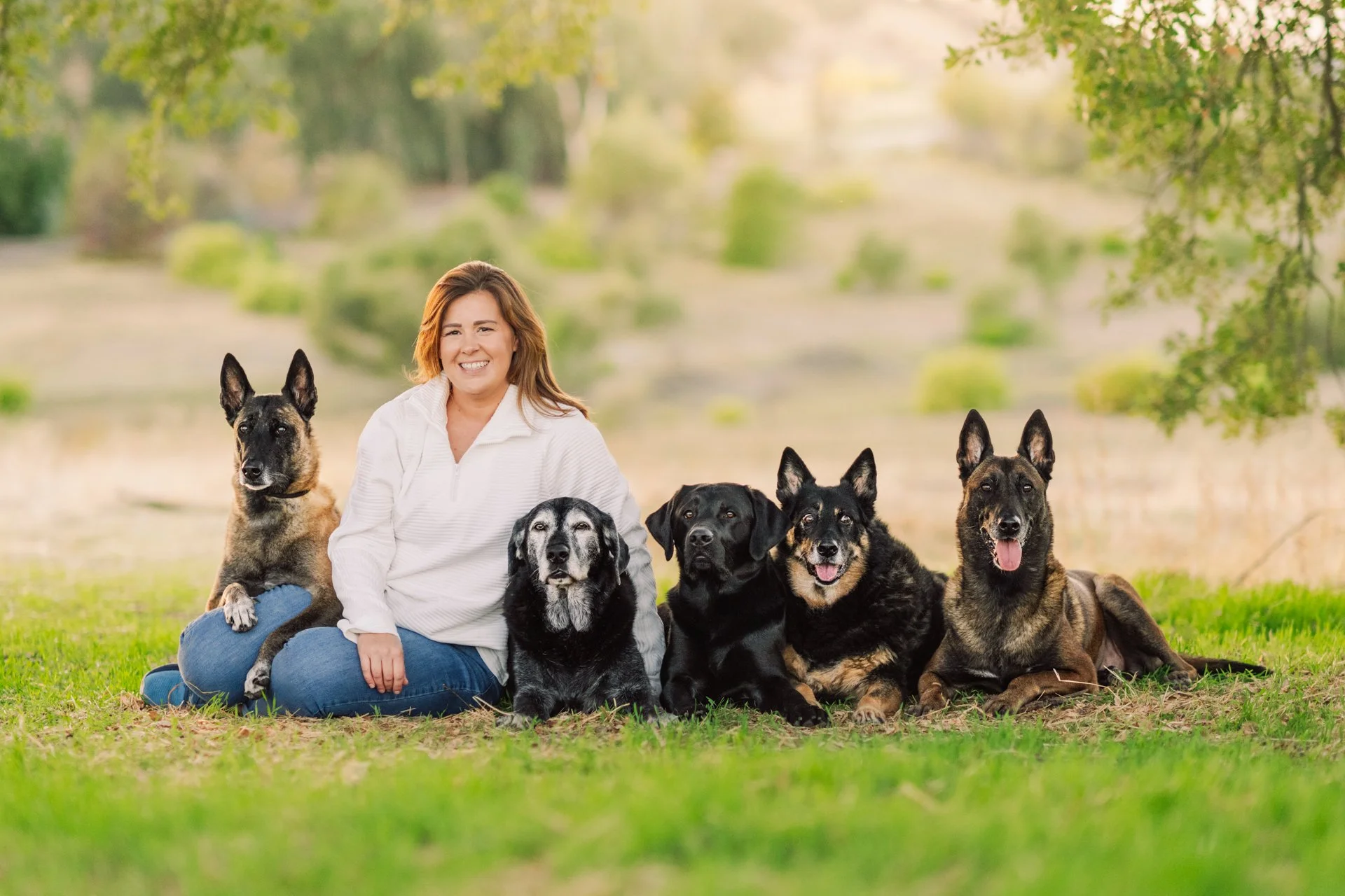 A woman smiling and sitting on grass outdoors with six dogs of various breeds, including German Shepherds, Siberian Huskies, and black dogs, in a park with trees and sunlight in the background.