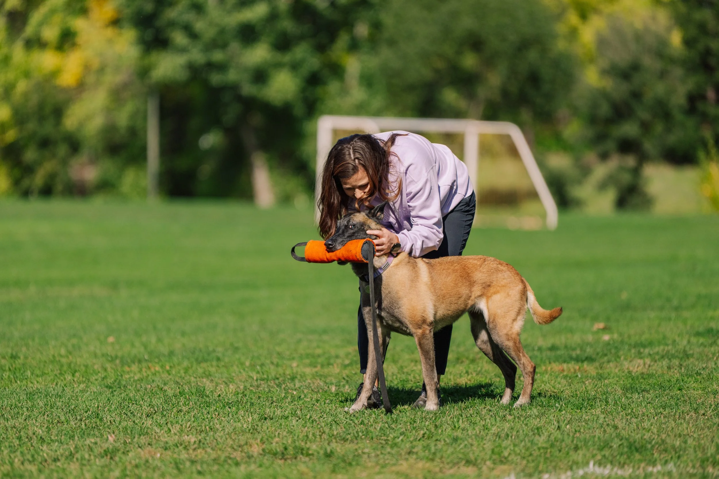 Personalized Dog Professional Nutrition Guide