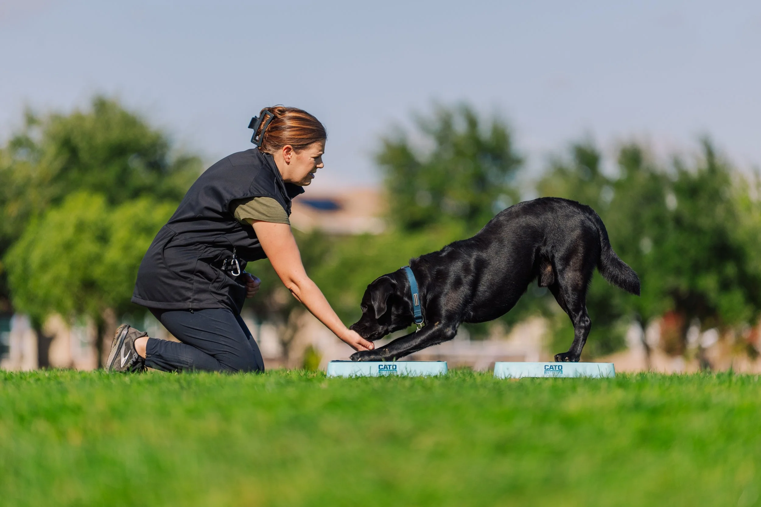 A woman kneeling on the grass, holding a black dog on a platform, during outdoor training in a park with trees in the background.