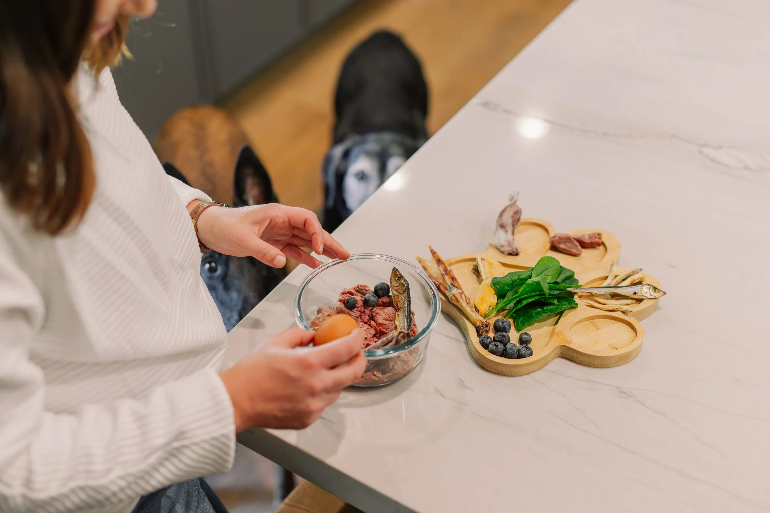 A person preparing a dish with fish, vegetables, and berries on a wooden platter on a white kitchen counter, with a blurry dog in the background.