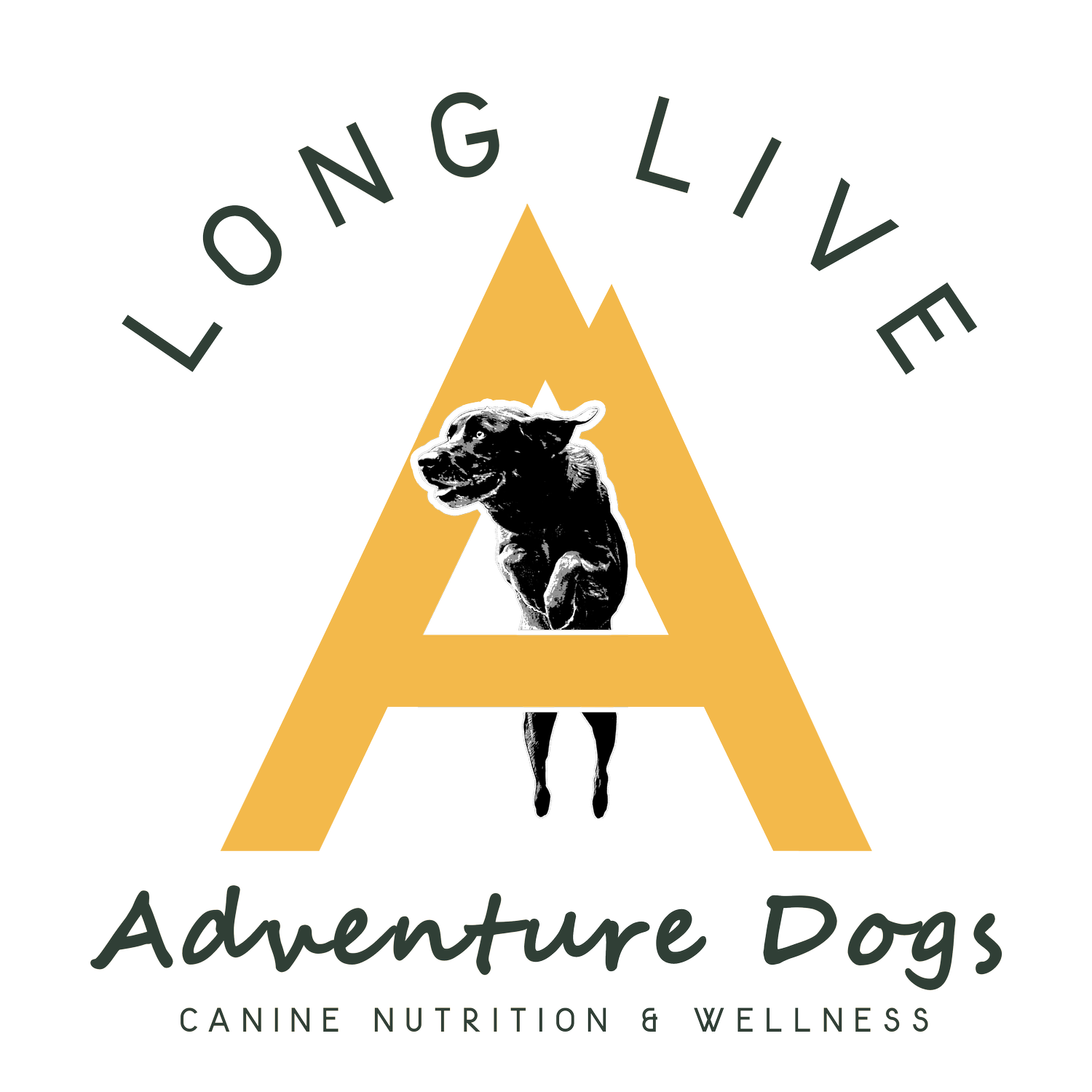 Long Live Adventure Dogs