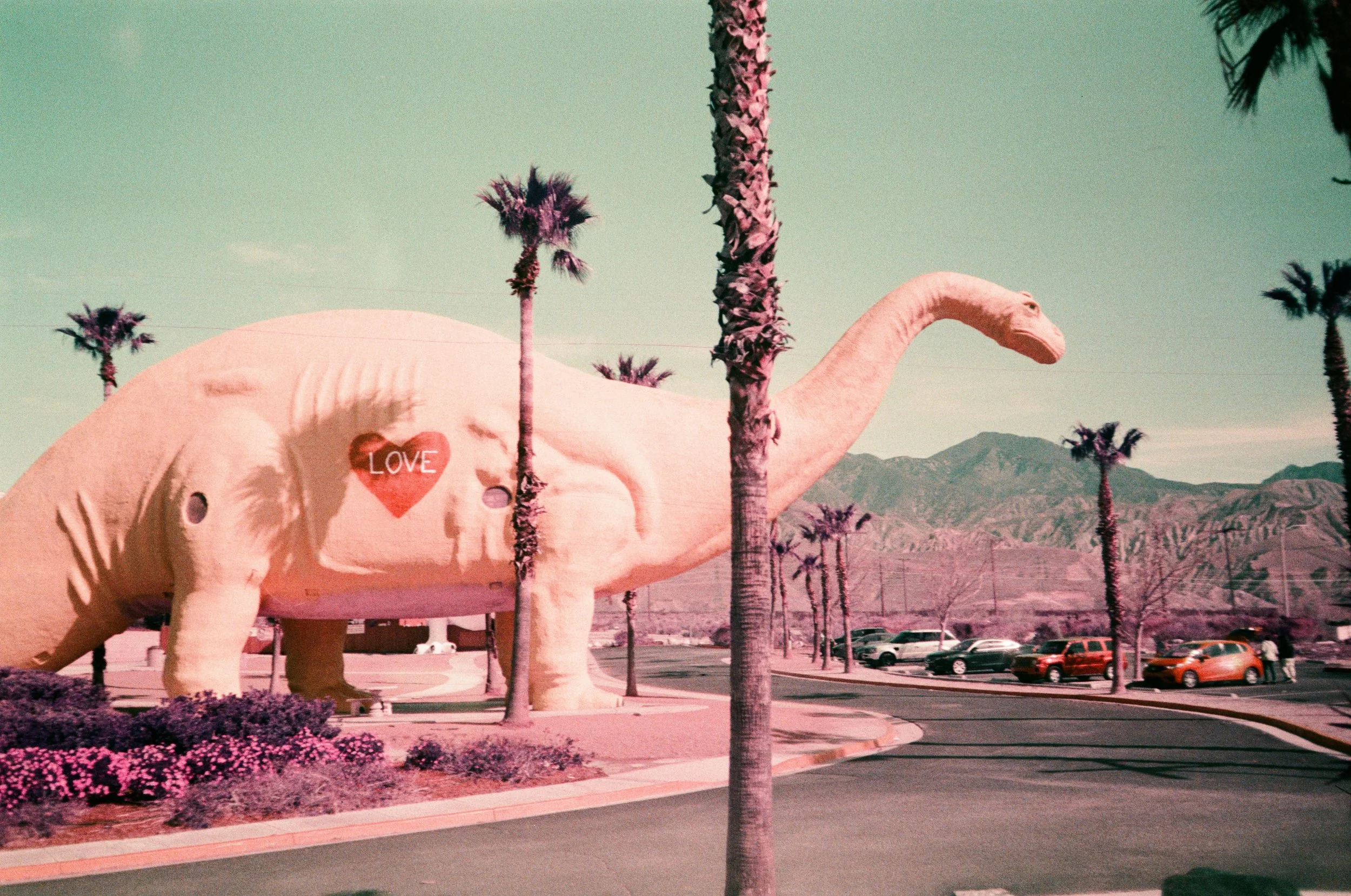 Large pink dinosaur sculpture with a red heart and the word 'LOVE' on its side, surrounded by tall palm trees and parked cars in a desert landscape with mountains in the background.