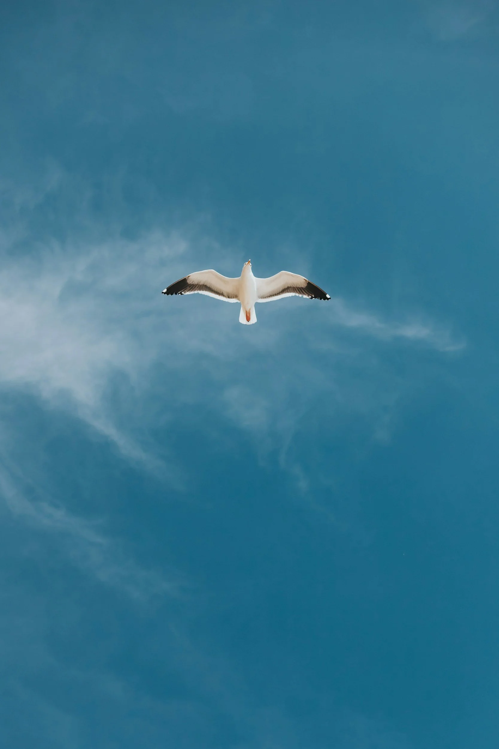unsplash-image-61qsu_-wzr4.jpg