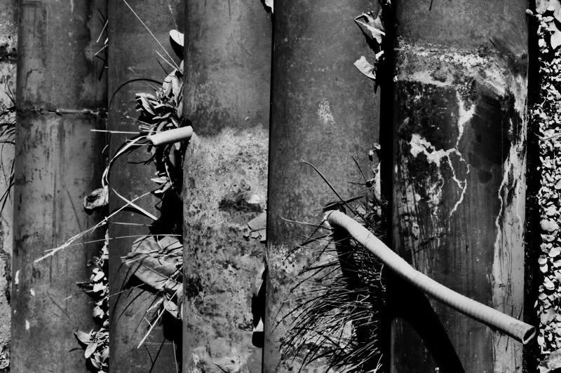 black-and-white photo of a close-up of a copper wire encased in rusted metal pipes