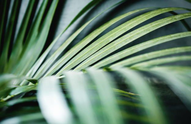 free-intentional-living-resources-for-women-living-intentionally-workbook-intentional-living-guide-how-to-live-with-intention-the-intentional-life-project