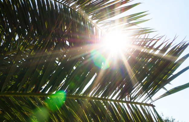 my-intentional-living-journey-for-women-living-with-intention-guide-how-to-live-an-intentional-life-the-intentional-life-project