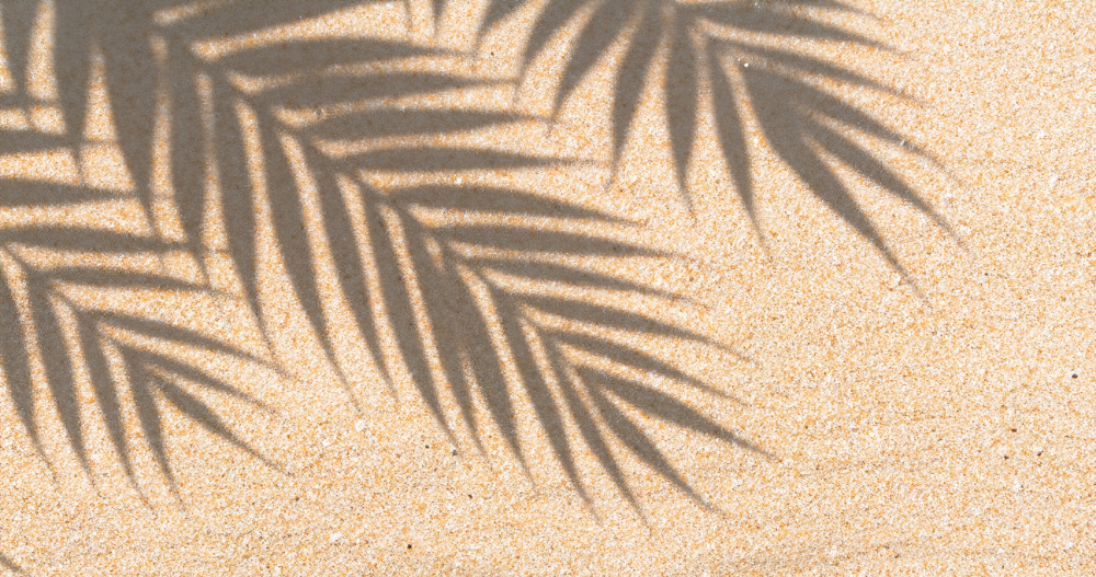 free-intentional-living-resources-for-women-living-intentionally-workbook-intentional-living-guide-how-to-live-with-intention-the-intentional-life-project