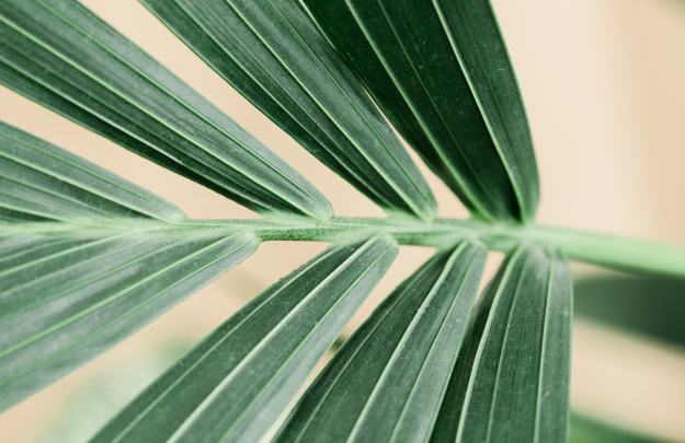 free-intentional-living-resources-for-women-living-intentionally-workbook-intentional-living-guide-how-to-live-with-intention-the-intentional-life-project