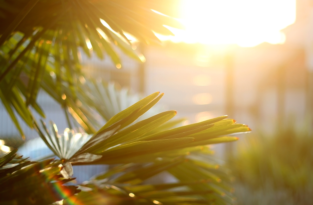 live-an-intentional-life-living-with-intention-intentional-living-the-intentional-life-project