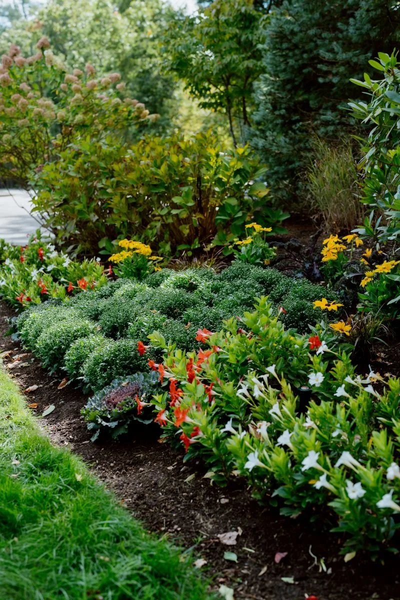 A garden bed with various flowering plants and shrubs, including white, red, and yellow blossoms, bordered by green grass and surrounded by lush green trees and bushes.