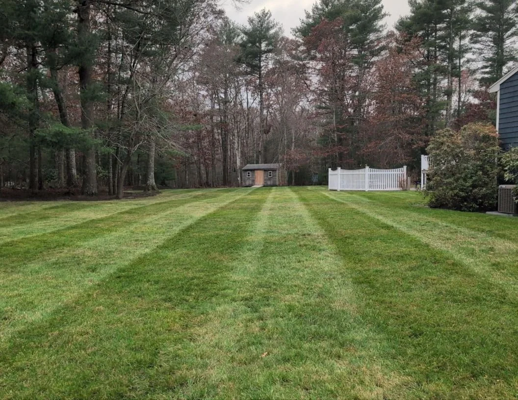 A well-maintained grassy backyard with a small shed at the end, surrounded by trees, a white fence on the right, and a house to the right side.