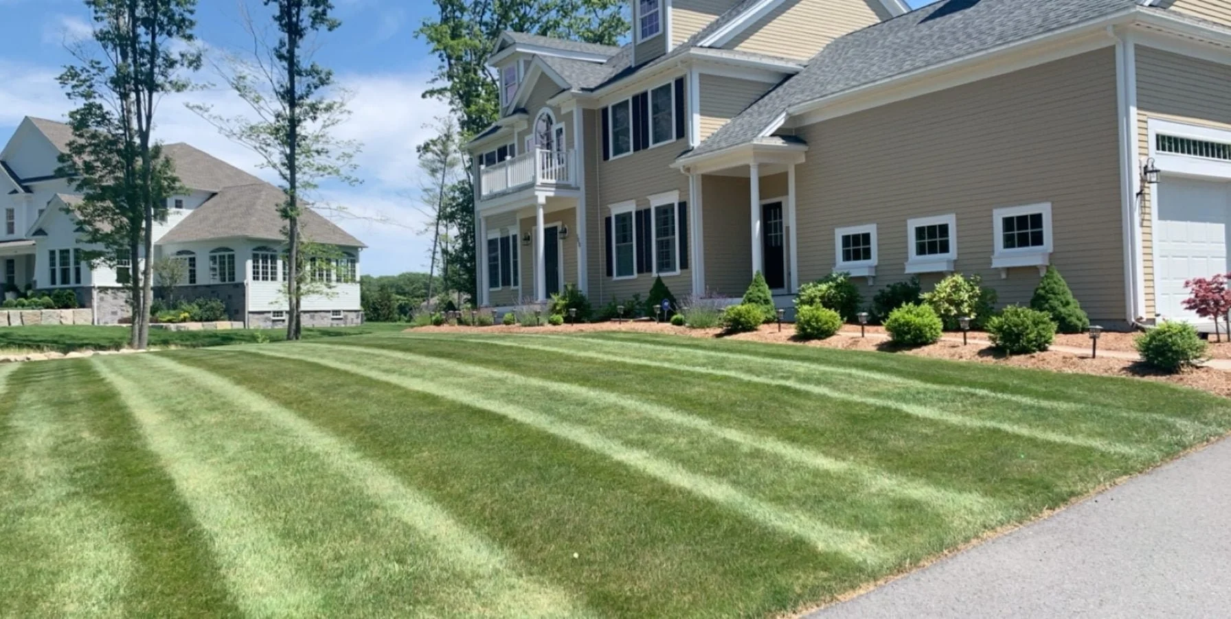 Professional Lawn Mowing Estimates