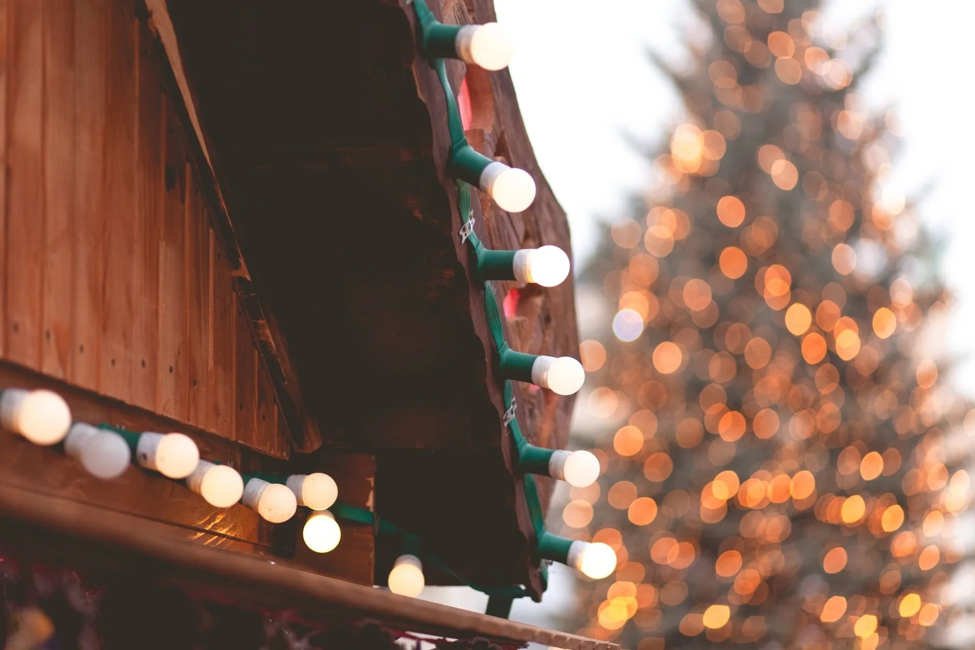 Holiday Landscape Decor Tips for Transforming your Outdoors to a Winter Wonderland