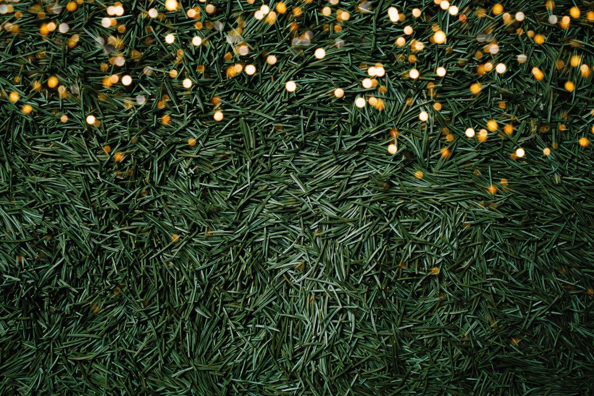 Winter Landscaping Services