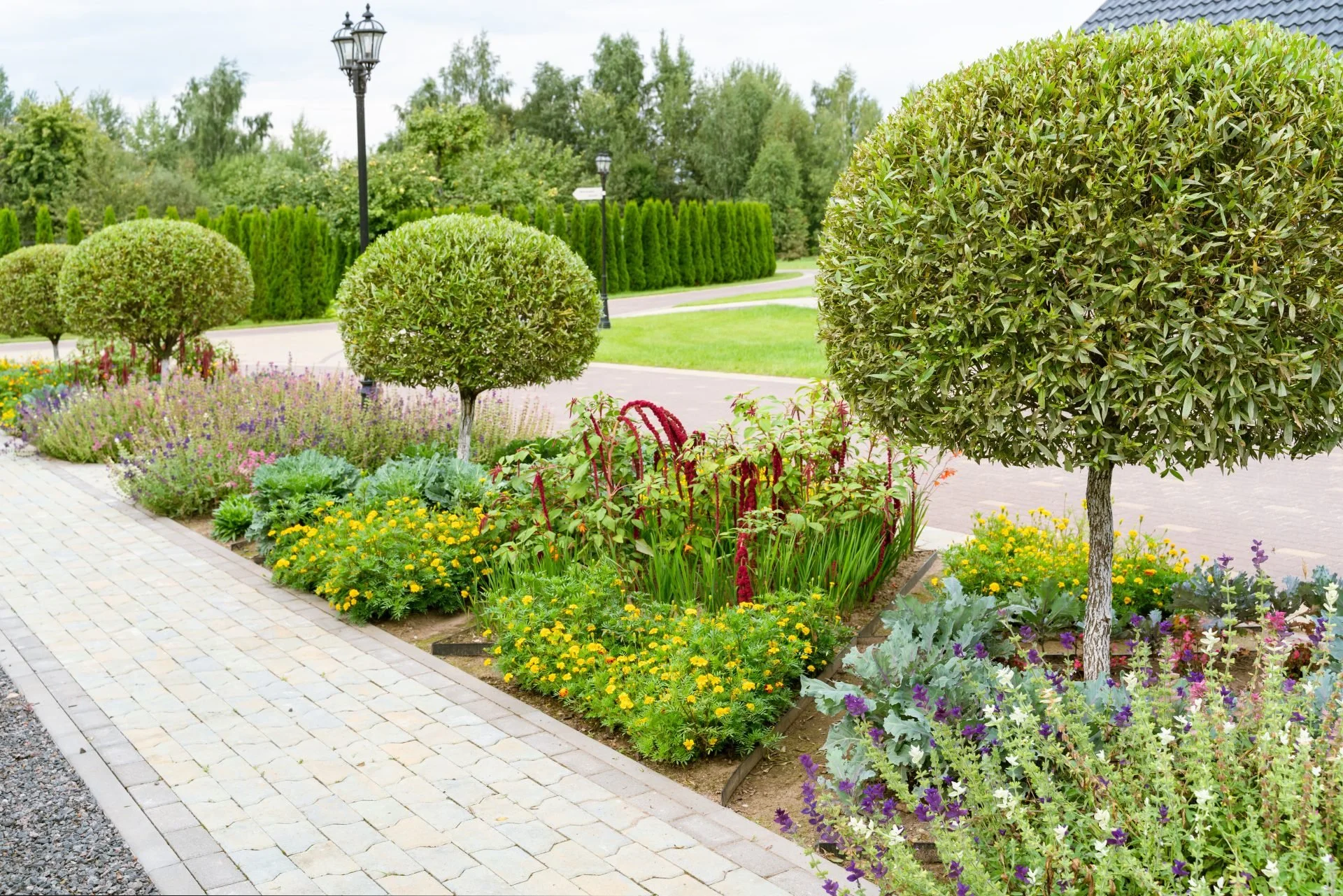 Best Plants and Bushes for your Commercial Landscape in the Spring
