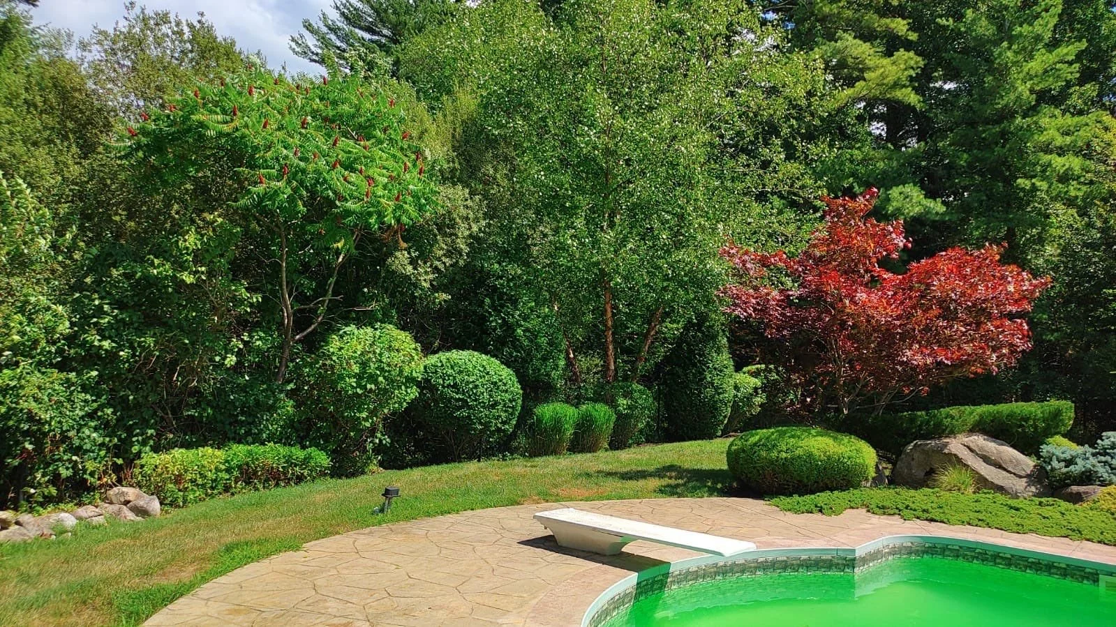 2024 Summer Garden Design Trends