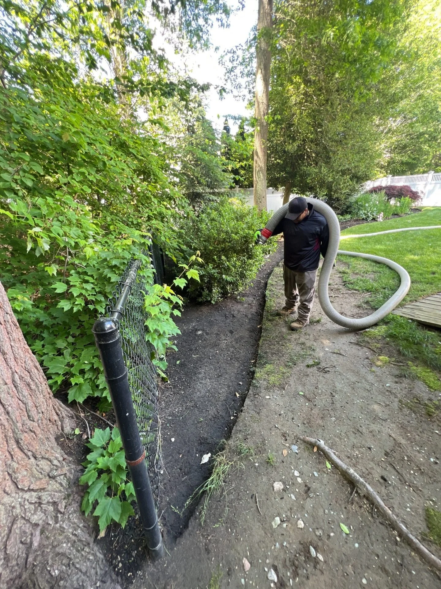 The Benefits of Mulching in the Summer