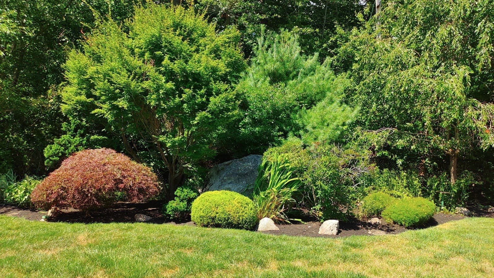 What You Need to Know About Summer Pruning