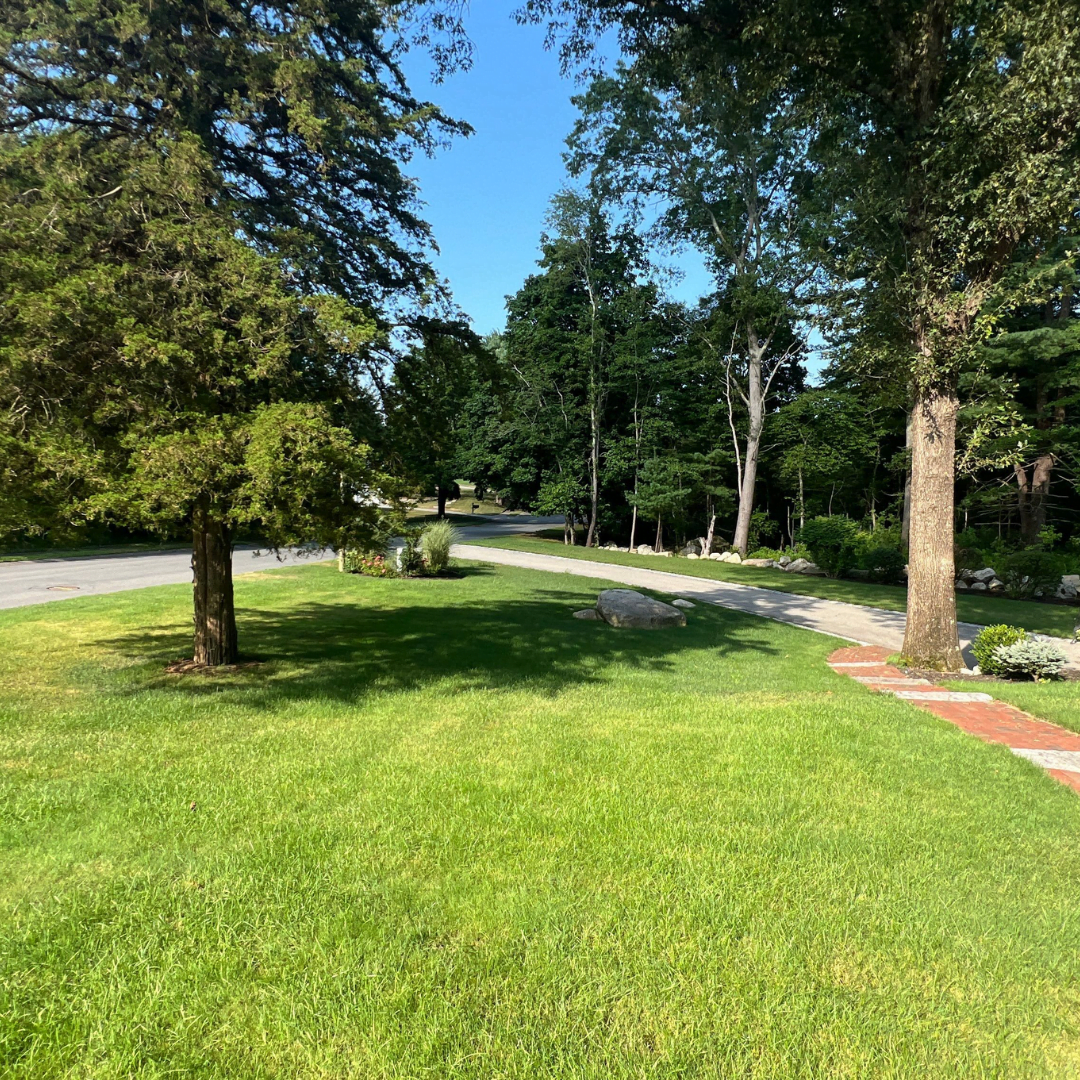 Maximizing Your Yard’s Beauty Through August and September: Expert Tips from Your Professional Landscapers at Mass Lawn Pros