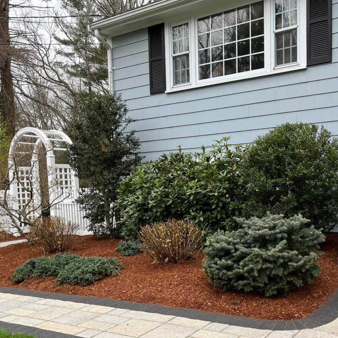 Mastering Mulch: How Bulk Mulch Blowing Enhances Your Landscape’s Beauty and Erosion Control