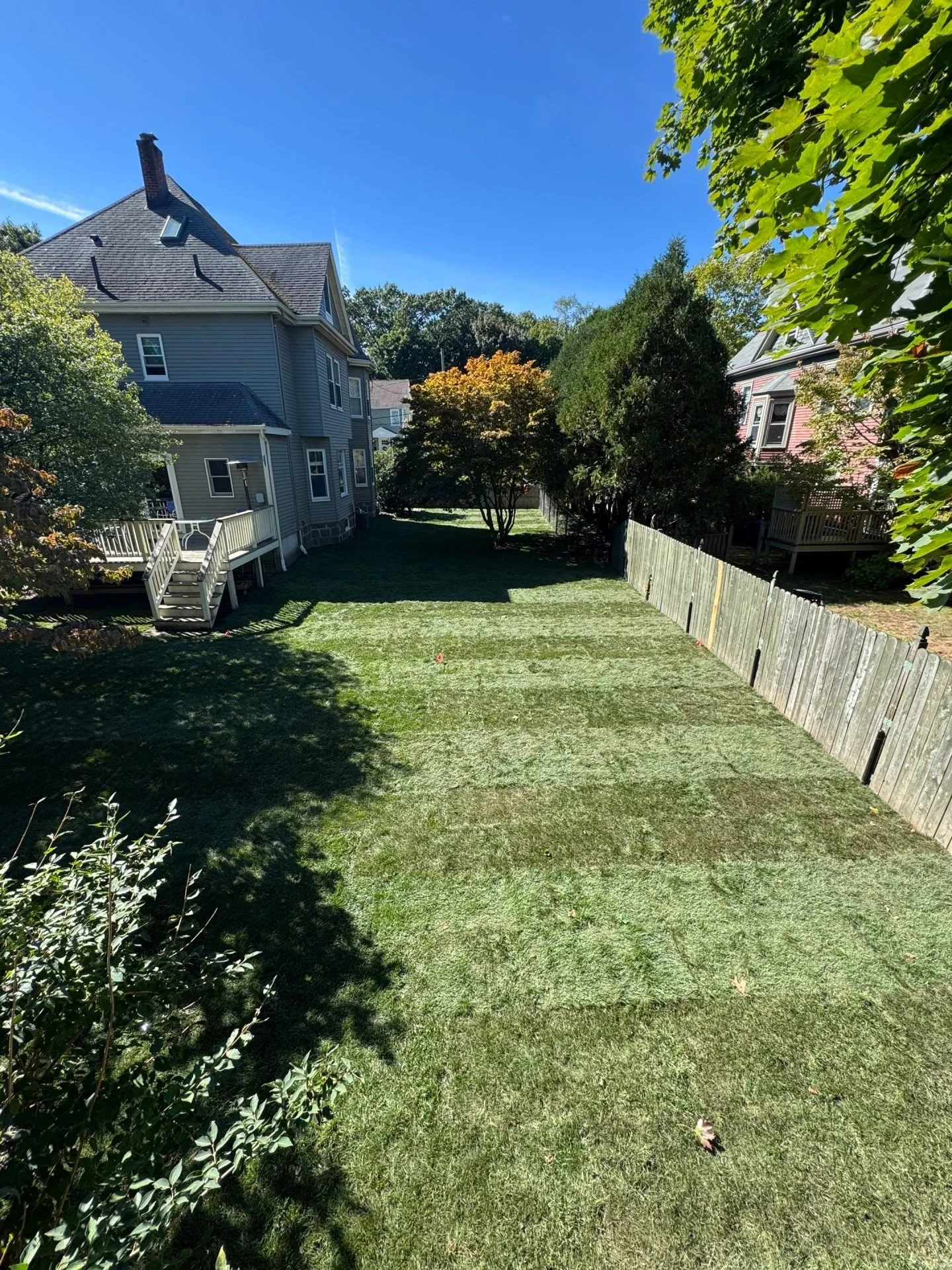 Take Your Lawn to the Next Level This Summer with Aeration and Dethatching