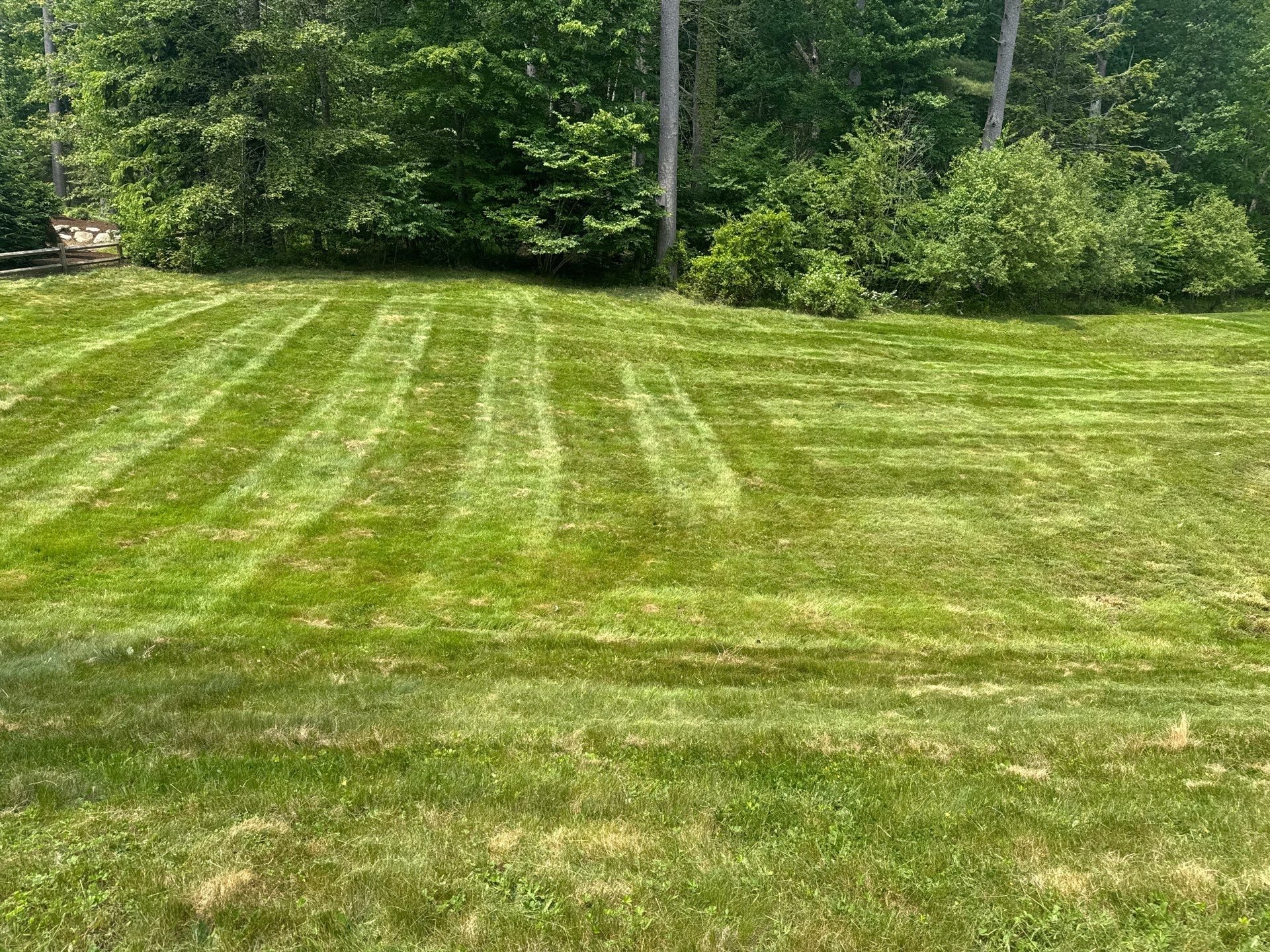 &nbsp;Lawn Maintenance: Mowing, Aeration &amp; Dethatching, Sod Installation, and Fertilization