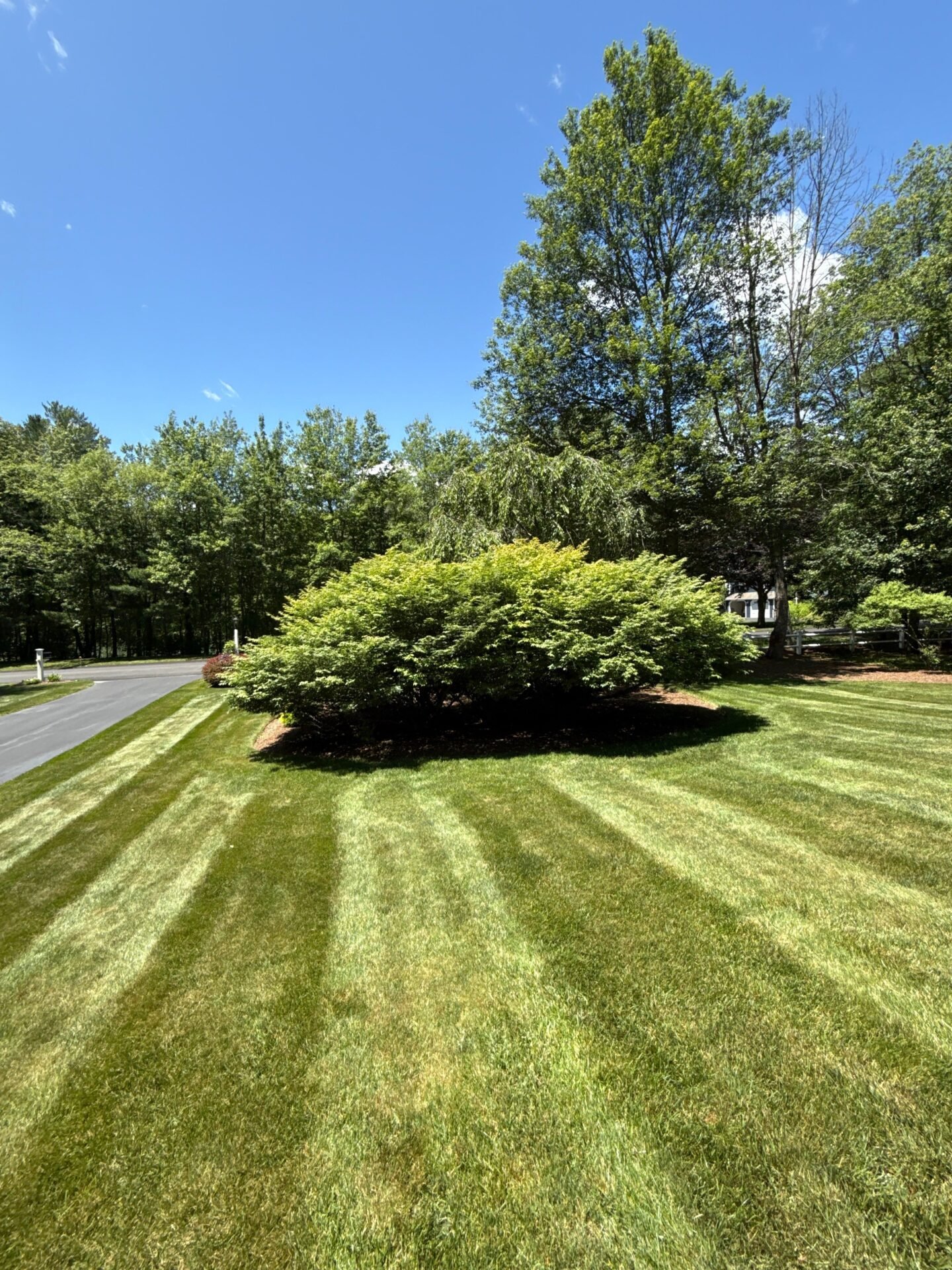 Your Full-Service Landscape Company