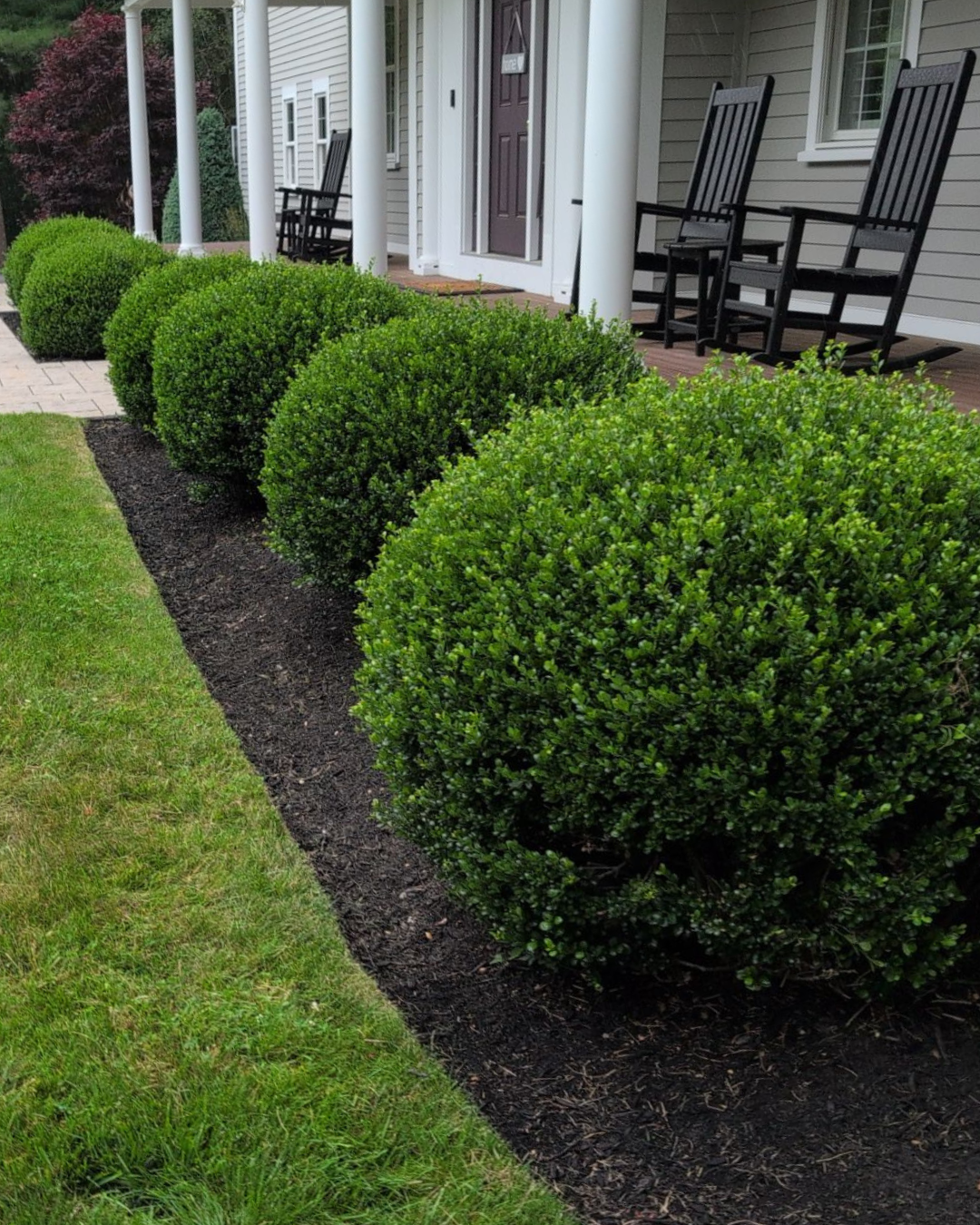 Tree and Shrub Pruning: The finishing touch to a perfect lawn