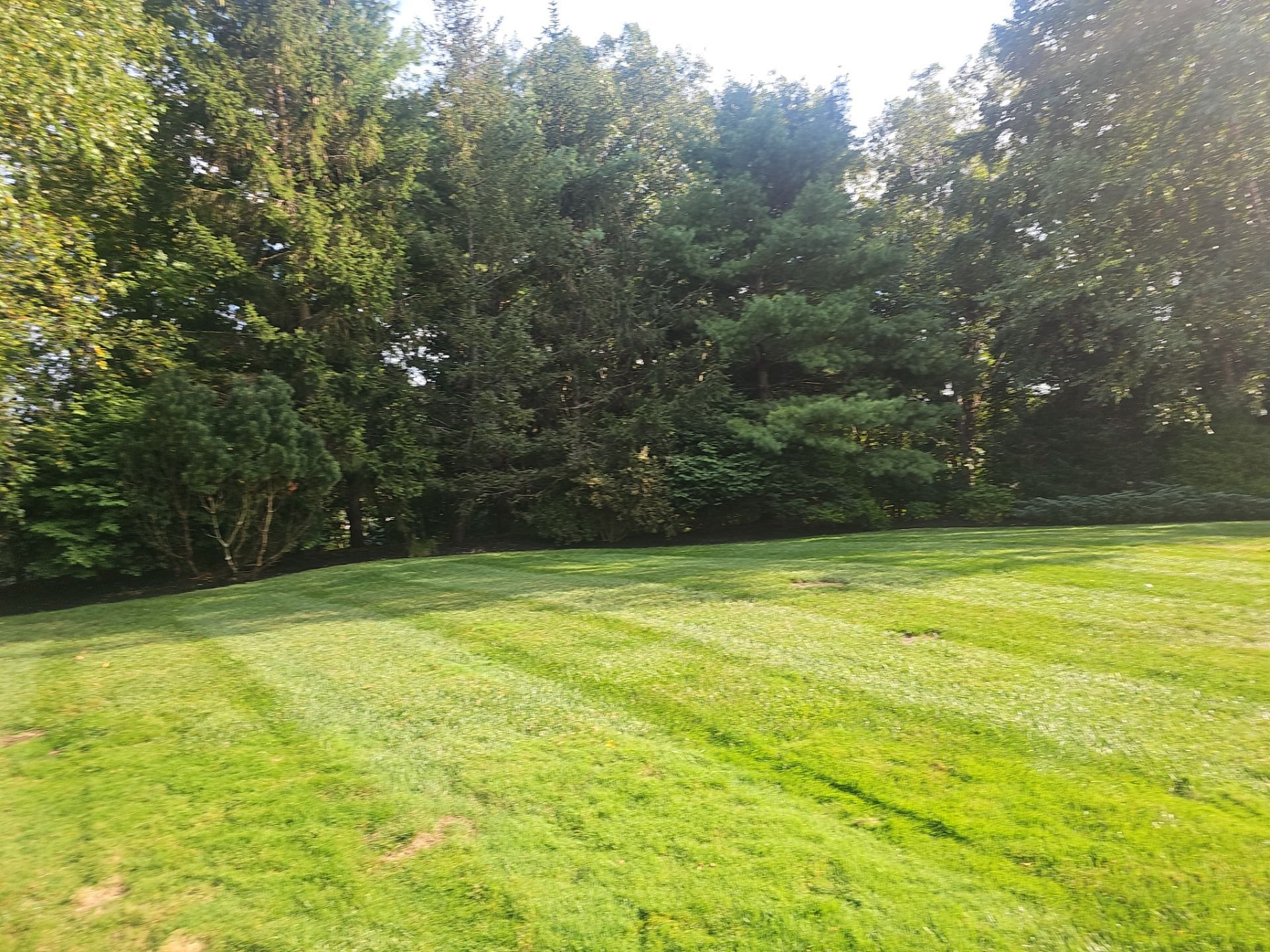 The Proactive New Englander’s Guide to Fall Lawn Care: Setting the Stage for Next Year’s Green Glory