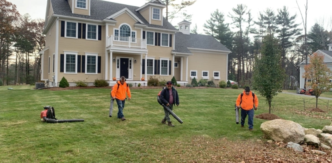 One Saturday, a Rake, and 25 Bags Later—There’s a Better Way to Do Fall Cleanup