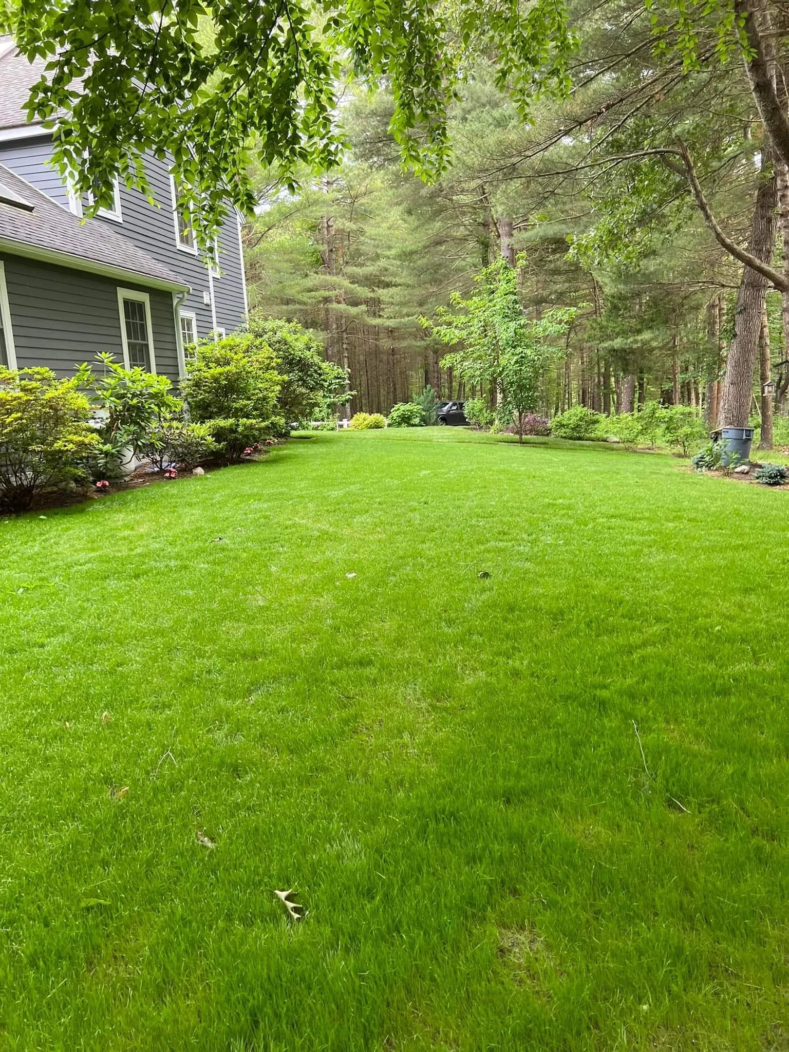 Lush green lawn with a gray house on the left, surrounded by trees and shrubs, with a wooded area in the background.