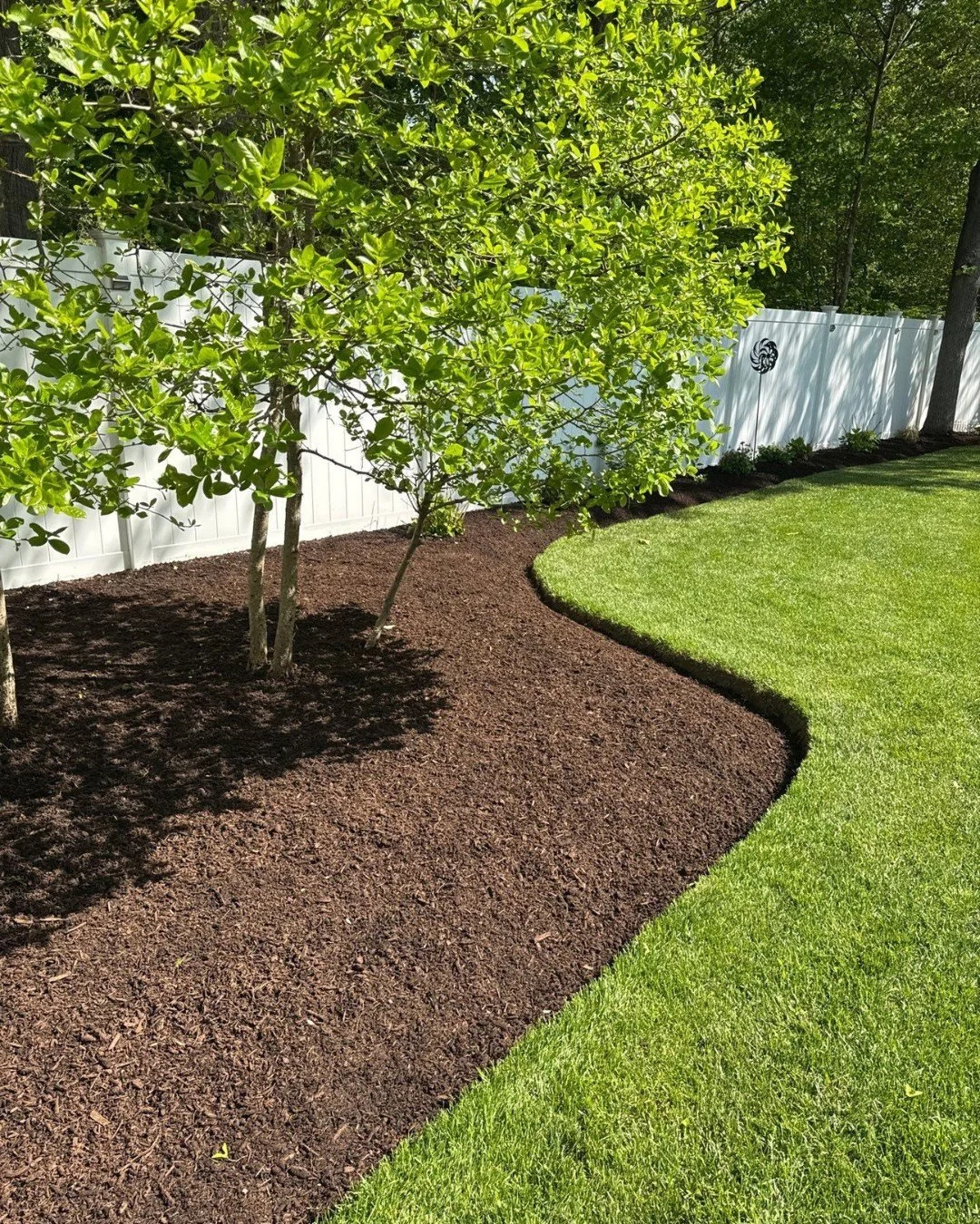 Mulch does more than make your landscape look good&mdash;though that&rsquo;s definitely a bonus. It&rsquo;s one of the most important foundations for healthy soil, strong plants, and long-lasting curb appeal.

Properly installed mulch helps:
 ✔ Retai